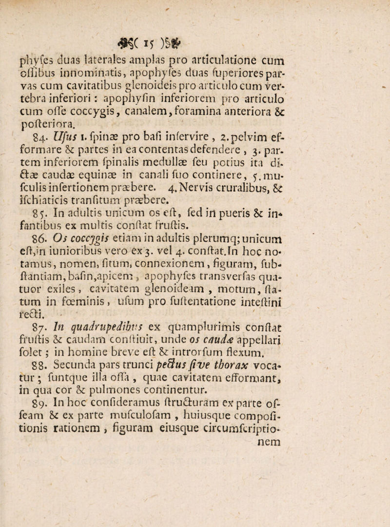 m v m phyfes duas Laterales amplas pro articulatione cum oflibus innominatis, apophyfes duas fuperiorespar¬ vas cum cavitatibus glenoideis pro articulo cum ver¬ tebra inferiori: apophylin inferiorem pro articulo cum ofie coccygis, canalem,foramina anteriora & poderiora. ' ' ’ 84- Ufus i. fpinae pro bali infervire , 2.pelvim ef- formare St partes in ea contentas defendere , 3. par. tem inferiorem fpinalis medullae feu potius ita di- ftae caudae equinae in canali fuo continere, ymu- fculis infertionem praebere. 4. Nervis cruralibus, St ifchiaticis tranfitum praebere. 85. In adultis unicum os eft, fed in pueris St in* fantibus ex multis condat fruftis. 86. Os coccygis etiam in adultis plerumq; unicum efl,in iunioribus vero 6x3. vel 4. conftat.In hoc no¬ tamus, nomen, fitum, connexionem, figuram, fub- ftantiam,bafin,apicem, apophyfes transverfas qua* tuor exiles, cavitatem glenoideam , motum, (la¬ tum in foeminis , ufum pro fufientatione inteilini refti. - • 87. In quadrupedibus ex quamplurimis confiat fruftis St caudam conftiuit, unde os caud& appellari folet; in homine breve ed & introrfum flexum. 88. Secunda pars trunci pedus five thorax voca* tur ; funtque illa offa , quae cavitatem effornaant, in qua cor & pulmones continentur. 8*9. In hoc confideramus ffruGuram exparte of- feam St ex parte mufculofam , huiusque compofi- tionis rationem , figuram eiusque circumferiptio- nem /