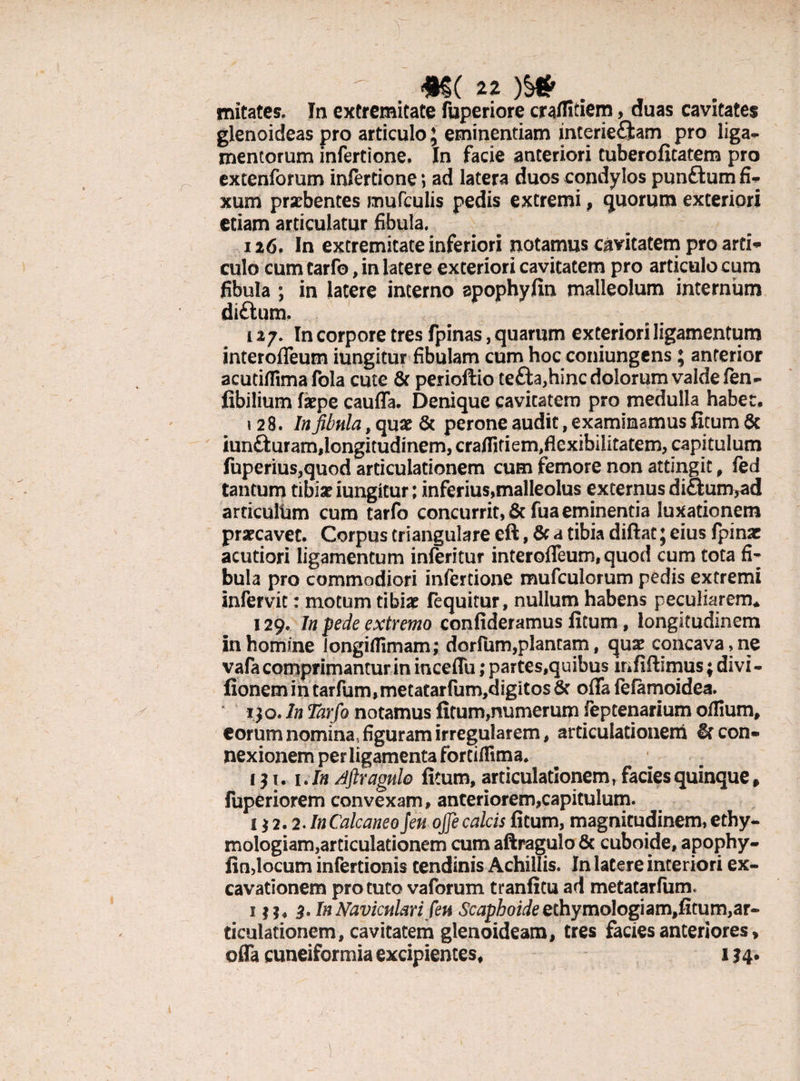 mitates. In extremitate fuperiore craffitiem> duas cavitates glenoideas pro articulo \ eminentiam interieram pro liga- mentorum infertione. In facie anteriori tuberofitatem pro extenforum infertione; ad latera duos condylos punftum fi¬ xum praebentes mufculis pedis extremi, quorum exteriori etiam articulatur fibula. 126, In extremitate inferiori notamus cavitatem pro arti¬ culo cum tarfo, in latere exteriori cavitatem pro articulo cum fibula ; in latere interno apophyfin malleolum internum di£tum. 12 7. In corpore tres fpinas, quarum exteriori ligamentum interofTeum iungitur fibulam cum hoc coniungens ; anterior acutiffima fola cute & perioftio te£ta,hinc dolorum valde fen- fibilium faepe cauda. Denique cavitatem pro medulla habet, 128. In fibula, quae & perone audit, examinamus fitum & iun&uram,longitudinem, craffitiem^exibilitatem, capitulum fuperius,quod articulationem cum femore non attingit, fed tantum tibiae iungitur; inferius,malleolus externus di£tum,ad articuliim cum tarfo concurrit, & fua eminentia luxationem praecavet. Corpus triangulare eft, & a tibia diftat; eius fpinae acutiori ligamentum inferitur interofTeum, quod cum tota fi¬ bula pro commodiori infertione mufculorum pedis extremi infervit: motum tibiae fequitur, nullum habens peculiarem* 129. In pede extremo confideramus fitum, longitudinem in homine longifiimam; dorfum,plantam, quae concava,ne vafa comprimantur in inceffu; partes,quibus infiftimus; divi - fionemintarfum,metatarfum,digitos& offa fefamoidea. ijo. In Tarfo notamus fitum,numerum feptenarium oflium, corum nomina, figuram irregularem, articulationem 6rcon* nexionem per ligamenta fortiflima. 131. i.In /Iftragulo fitum, articulationem, facies quinque» fuperiorem convexam, anteriorem,capitulum. 1 $ 2.2. In Calcaneo Jen ojfe calcis fitum, magnitudinem, cthy- mologiam,articulationem cum aftragulo & cuboide, apophy- fin,locum infertionis tendinis Achillis. In latere interiori ex¬ cavationem pro tuto vaforum tranfitu ad metatarfum. 1 5. In Naviculari fett 6tap&oiieechymologiam,fitum,ar¬ ticulationem, cavitatem glenoideam, tres facies anteriores, offa cuneiformia excipientes, 134»