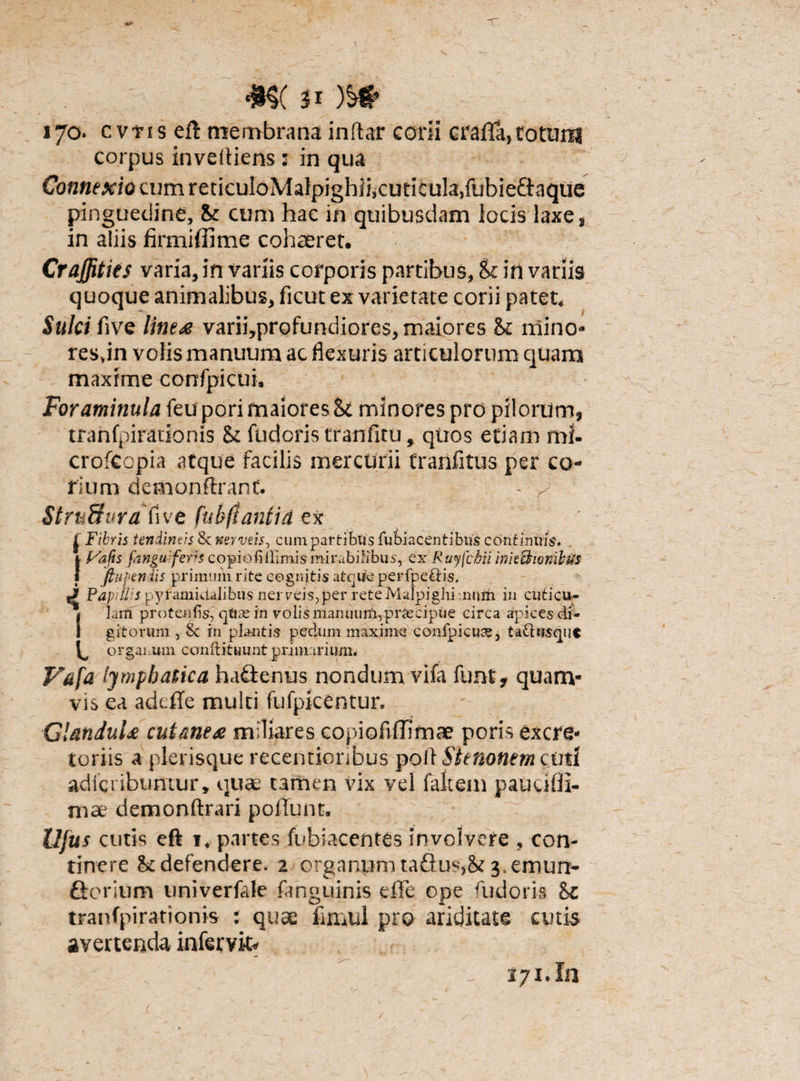 corpus inveltiens: in qua Connexio cum reticuIoMalpighlijCuticula^ubieftaque pinguedine, St cum hac in quibusdam locis laxes in aliis firmiffime cohaeret. Craffities varia, in variis corporis partibus, St iri variis quoque animalibus, ficut ex varietate corii patet, Sulci fwe linea varii,profundiores, maiores St mino» res.in volis manuum ac flexuris articulorum quam maxime confpicui. Foraminula feu pori maiores St minores pro pilorum, tranfpirationis St fudoris tranfitu, quos etiarn mi- crofccpia atque facilis mercurii franfitus per co¬ rium demonftranf. - / StruSura five fukft antici ex £ Fibris tendineis 8userveis, cum partibus fubiacentibus continuis. JPafis fangu-: feris copiofi llimismirabilibus, ex Ruyfcbii inkUwniltis ftupen iis primum rite cognitis atquteperfpe&is. J Papdl s pyramidalibus nerreis,per reteMalpighi num in cuticu¬ lam protenfis, qtias in volis manuunVprjecipiie circa apices di¬ gitorum , Si in plantis pedum maxime confpicui, ta£l«$epi« organum conftituunt primarium. Vafa lymphatica hafteinus nondum vifa funt, quam¬ vis ea adcffe multi fufpicentur. Glandula cutanea miliares copioflffimae poris excre* toriis a plerisque rccentionbus poli Stenonem cuti adlcribumur, quae tamen vix vel faltem paucifli- mae demonftrari poffunt. %; Ujus cutis eft r. partes fubiacentes involvere , con¬ tinere St defendere. 2 organum taflus,St 3. emun- Gorium univerfale fanguinis effe ope fudoris St tranfpirationis : quae flmul pro ariditate cutis avertenda infervit* 171.1«