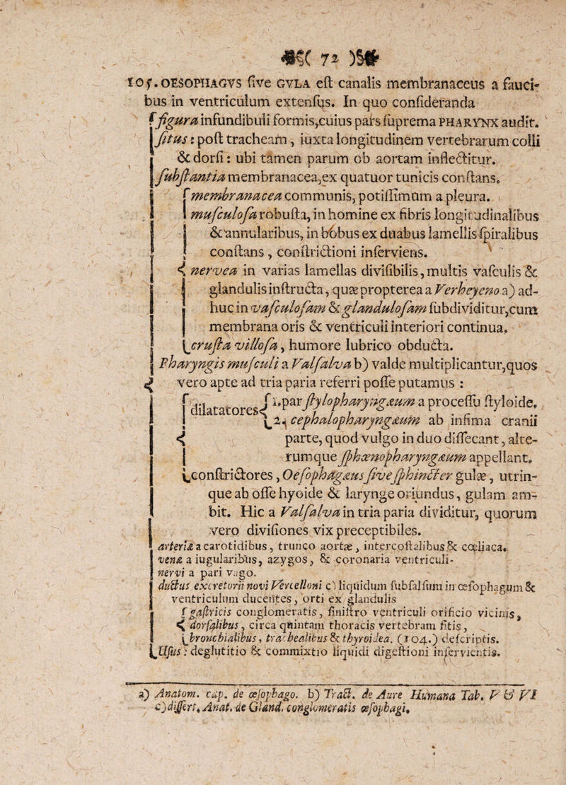 lOf.oESOPHAGVS five gvla eft canalis membranaceus a fauci¬ bus in ventriculum extenfqs. In quo confideranda ffigura infundibuli formis,cuius pars fiiprema pharynx audit. \ftus: poft tracheam, iuxta longitudinem vertebrarum colli & dorfi: ubi tamen parum ob aortam inflectitur. fubfantia membranacea?ex quatuor tunicis conflans* 'membranacea communis, potiflimam a pleura. mufculofa robufta, in homine ex fibris longitudinalibus &tmnularibus, in b6bus ex duabus lamellislpiralibus conflans, conftridioni inferviens. | 4 nervea in varias lamellas divifibilis, multis vafculis & I! glandulis ipftruCta, quas propterea a Verheyeno a) ad¬ huc in vafculofam <kglandulofam fubdividitur,cum membrana oris & ventriculi interiori continua. \crufia villo f a, humore lubrico obduda. j 1pharyngis mujculi a Valfalva b) valde multiplicantur,quos vero apte ad tria paria referri poffe putamus : f dilatatores/1,parftytyharyng&um a proceffu %loide. 1 cephalopharyngjtutn ab infima cranii ^ parte, quod vulgo in duo diffecant, alte¬ rum que JpkcempharyngAum appellant, i^conftridores, Oefophagdusfivejphinffier gulas, utrin- que ab offe hyoide & larynge oriundus, gulam ara¬ bit. Hic a Valfalva in tria paria dividitur, quorum vero divi do nes vix preceptibiles. arteria a carotidibus, trunco aortae, interc.pltalibus.8c coeliaca. •vena a iugularibus, azygos, 8c coronaria ventriculi* nervi a pari vago. ductus excretorii novi Vercelloni c) liquidum fubfalfumin cefophagum 8c ventriculum ducentes, 'orti ex glandulis fga/tricis conglomeratis, fi ni liro ventriculi orificio vicirus, dorfalibus, circa quintam thoracis vertebram fitis, ^ ^bronchialibus, trachealibus fkthyroidea. ( J04.) cieferiptis. ^tlfiis; deglutitio 8c commixtio liquidi digeftioni inservientis. a) Anatoni, cap. de ctjbphago. b) Tracl. de Aure Humana Tab, V & VI CjdiJfertiAnaf, deGJand, conglomeratis eefopbagu