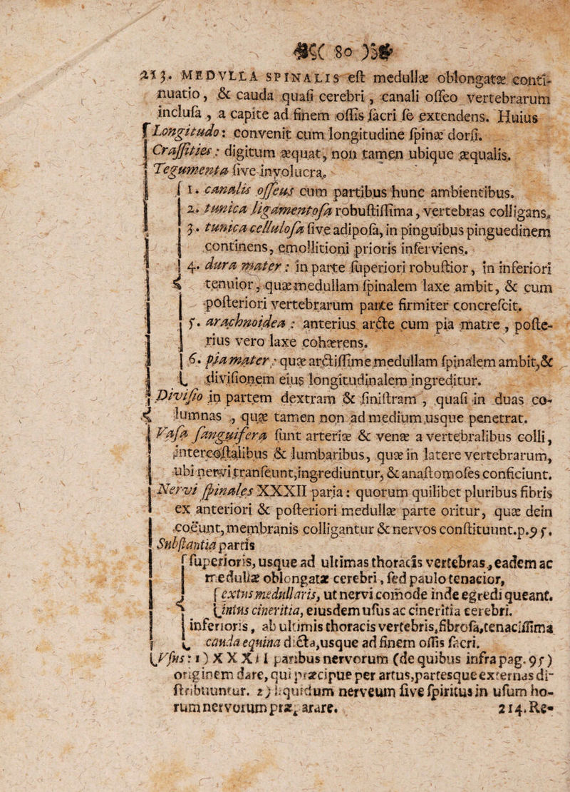 MEDvttA spinalis eft medullae oblongata conti¬ nuatio , & cauda quafi cerebri, canali offeo vertebrarum inclula , a capite ad finem offis lacri fe extendens. Huius f Longitudo: convenit cum longitudine (pinse dorfi. I Craffities: digitum sequat, non tamen ubique aequalis, 1 'Tegumenta iive-inyo!ucrai0 I i. cmalis ojjem cum partibus hunc ambientibus. I 2.« tume a ligamentofa robuftiffima, vertebras colligans* i 3 * tunica cellulofa five adipofa, in pinguibus pinguedinem I continens, emollitioni prioris 'inferviens. j 4. dura rmter: in parte fuperiori robuftior, in inferiori 1 ^ tenuior, qusemedullam (pinalem laxe ambit, & cum > . - pofteriori vertebrarum parite firmiter concrefcit. ■ f. arachnoidea: anterius arde cum pia matre , pofte- 1 . tius vero laxe cohaerens, V 4 r ' * \ f* tnat er; quee ardiffime medullam (pinalem ambit,& 5 L divifionem eius longitudinalem ingreditur, qpivijio in partem dextram & jiniftram , quali in Iduas co- lumnas quae tamen non ad medium .usque penetrat. | ¥dfa fanguifera funt arteriae & venae a vertebralibus colli, iintercpdalibus & lumbaribus, quee in latere vertebrarum, ubi nervitranleunt,ingrediuntur, & anaftomofes conficiunt. Nervi fpinales XXXII paria: quorum quilibet pluribus fibris ex anteriori & pofteriori medullae parte oritur, qu^e dein coeunt, membranis colligantur & nervos conftituunt.p,^ f, Snbftantia partis Tuperioris, usque ad ultimas thoracis vertebras, eadem ac medullae oblongatae cerebri # fed paulo tenacior, j [extw medullaris, ut nervi comode inde egredi queant. ! ] ^ \Jntns cineritia, eiusdem ufus ac cineritia cerebri. | | inferioris, ab ultimis thoracis vertebristfibrofa,tenacIffima I ^ canda equina dida,usque ad finem offis ftcri. I Vfns x 1) X X X i 1 paribus nervorum (de quibus infrapag.9/) originem dare, qui praecipue per artus,partesque externas dr ftribuuntur. t) bqufdum nerveum five fpiritusin ufum ho¬ rum nervorum pr«rc-arare. 214» Re*