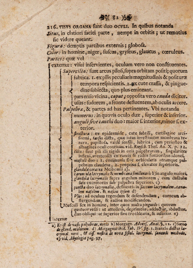 s 16. vtsvs organa funt dno ocvli. In quibus notanda in elatiori faciei parte , nempe in orbitis j ut remotius fic videre queant* figura: demptis partibus externis; globofu Color: in homine, niger, fufeus, gryfeus,glaucus , coeruleus* partes-: qitse vel f externae : vifui infervientes, oculum vero non conftituentes* Supercilia: funt arcus pilofi,fupra orbitam pofiti; quorum f fabrica, i. ex pilis peculiaris magnitudinis & polituras | tempora refpicienris. a.f x cute crafTa, & pingue- g dine fubieda, quo plus emineant, j pars nafo vicina, caput; oppofita vero cauda dicitur* l uiiis r fiidorem, a fronte defluentem,ab oculis arcere* Palpebra, & partes ad has pertinentes. Vbi notanda numerus: in quovis oculo duae, fuperior & inferior* anguli five canthi duo: maior f iaterior,minor f. ex¬ terior. firu&ura : ex epidermide, cute fubtili, cartilagine arci- formi, tarfvs di&a, qua; intus inveftinntur membrana te¬ nera, papillofa, valde ienfili, lubrica , cum periofleo 8c V - idonei. mupculi duo : i, communis five orbicularis utramque pal¬ pebrum claudens , z. proprius f, elevator fuperi oris. glanduUteracea Meibomii a). caruncula haymahs 8c membrana femifunaris 5)in angulo maiori glandula lac ry malis fu pra angulum minorem , cum du&ulis firis excretoriis fub palpebra fuperiori. c) pun&a duo lacrymalia, delinentia in faecum lacyymdlm, cana* lem nafakm, 8c napum ipfunt d) _ Vpus; ad oculum tegendum 8c defendendum } corneam ah- ^ fiergendam, 8c radios modificandos. Mwfculi fex in homine, inter quos multa pinguedo: quorum / quatuor redi: ut attollens* deprimens, addu&or, abdir&or* i duo obliqui: ut fuperior live trochlearis, Se inferior, e) , internae __„ __J_' >fi de vajispdpebrar. novis b) Morgagn. Adverf Anat, §. 12. c)$iena * degland, oculorum, d) Morgagnus ibid. Tab. IJ/7 jfg* 1. Bianehi dubius ia- erywal novi , & difi nofira de nova fiftuU focrymal, fanandi methodo* «> vid< Myolv&a pag, 97,