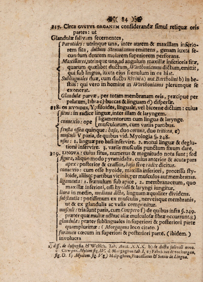 ■■ / ■N • ' l 4KC 84 >3# zi f. Circa gvstvs organvm confidmndae fimul rcliqus oria partes: uc Gkndalaf fallv .m fccernentes, ''Parotides: utrinqueuna, inter aurem & maxillam inferio¬ rem lita, duilum Stenonianum emittens, genam iuxta fe¬ cundum dentem mularem fuperiorem perforans. Maxillaresnque una,gd angulum maxillae inferioris fitx, quarum quaglibet duQumyWartbomanumdi^um,emittit, qui fub lingua, iuxta eius f enulum in os hiat. Sublinguales duae, cum duftu Rivini a) aut Bartholini b) in be- ftiis: qui vero in homine in JVaxihonianos plerumque fe exonerat* planduU parvae, per totam membranam oris, praecipue per palatum, labra c) buccas & linguam d) difperfar. f 18. os HYoiDEs, Ypiiloides, linguale, vel bicorne diftum : cuius ffitm; in radice linguae,inter illam & laryngem. I connexio: ope f U^ntoram cum lilWa & [atYnS^ g y Unufculorum, cum varus partibus. fmfta ojfea quinque: bajis, duo cornua, due triticea, e) mufcnli V paria, de quibus vid. Myologia §. 248. nfiis: 1. linguae pro Dafi infer vire. 2. motui linguae & deglu- * tioni inlervire. j. variis mufiulis punttum fixum dare. 219. lingva: cuius fitus,, numerus & magnitudo nota funt; fed figura, aliquo modo pyramidalis, cuius anterior & acuta pars apex ; pofterior & craifior, bajis five radix dicitur. connexio: cum ofle hyoide, maxilla inferiori, proceflu fty- loide, aliisq; partibus vicinis,per mufculos aut membranas. ligamenta: i.Fraenuhim fubapice, 2. membranaceum, quo maxillae inferiori, offi hyoidl & laryngi iungitur. linea in medio, mediana dida, linguam aequaliter dividens. fnbfiantia: pottifimum ex mufculis, nerveisquemembranis, ut & ex glandulis ac vafis componitur. mufcnli: tria funt paria. cum Cowpero f) de quibus infra $.249. % pratter quae multae adhuc aliae mufculofae fibrae occurrunt.g) glandula: pr*ter fublinguales infuperieri & pofteriori parte quamplurimae: ( Morgagnus loco citato.) J foramen caecum in fuperiori & pofteriori parte, (ibidem.) I involucra tjdijf.de iyfpepfia. {# Welfch. Idk. An.ci.Ji XX. b)dt duBu Jativdi novo. c Cov/ptr.Mytemfig.iy. d Morgagnus e) fabtiuusdevocisorean, jig.O. t) MjQtom.jig.yi) Malp.glmii,FraMiratus(dStenodeLineua.