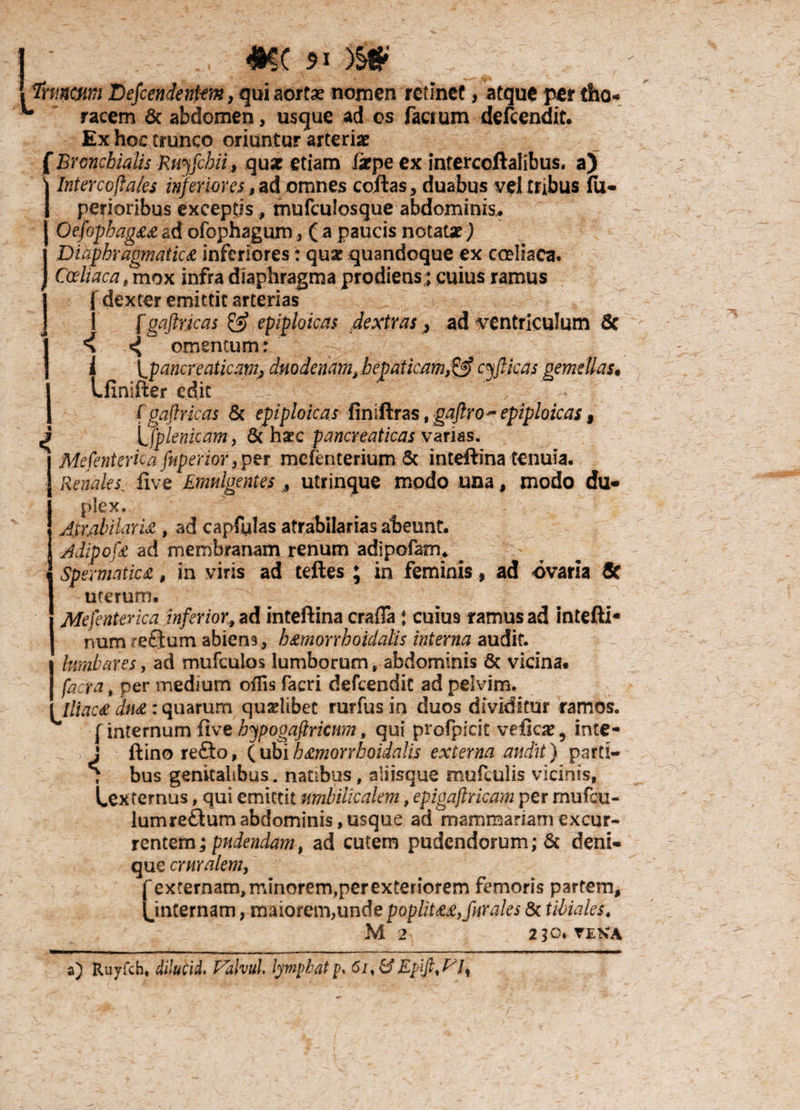 Truncum Defcendenfm, qui aortae nomen retinet, atque per tho- * racem & abdomen, usque ad os facrum defcendit. Ex hoc trunco oriuntur arteriae f Bronchialis Rujfchii , quae etiam larpe ex intercoftalibus, a) \ Interco fla/es inferiores, ad omnes coftas, duabus vel tubus fu- j perioribus exceptis, mufculosque abdominis.. Oefophaga ad ofophagum, ( a paucis notatae) Diaphragmatici inferiores: quae quandoque ex cceliaca. . Coeliaca, mox infra diaphragma prodiens;; cuius ramus J f dexter emittit arterias J I fgaftrjcas & epiploicas dextras, ad ventriculum 8c 1<\ ^ omentum: i i.pancreaticam, duodenam, hepaticam,& cyftjcas gemellas. J Lfinifter edit C ' 1 f gaftricas & epiploicas finlftras, gaftro ~ epiploicas 9 ^ Ifplenicam, & haec pancreaticas varias. | Mefenterica faperior mefenterium & inteftina tenuia. 1 Renales. five Emulgentes , utrinque modo una, modo du¬ plex. AtmbilarU , ad capfulas atrabilarias abeunt. Adipofi ad membranam renum adipofam. - Spermatici, in viris ad teftes ; in feminis, ad ovaria & uterum. Mefenterica inferior, ad inteftina craffa; cuius ramus ad intefti- num reQum abiens, himorrhoidalis interna audit. hmbares, ad mufeuios lumborum, abdominis & vicina. facta, per medium offis facri defcendk ad pelvim. Iliaci dm : quarum quaelibet rurfus in duos dividitur ramos. [ internum five bypooaftricum, qui profpicit veficar, inte- \ ftino refto, (ubihimorrhoidalis externa audit) parti— : bus genitalibus. natibus, aliisque mufculis vicinis, Lexternus, qui emittit umbilicalem, epigaftricam per mufeu- lumre£tum abdominis, usque ad mammariam excur¬ rentem; pudendam, ad cutem pudendorum; & deni» que cruralem, f externam, minorem,per exteriorem femoris partem, 1 internam, maiorem,unde poplitHyfurales & tibiales. M 2 2?0* TENA a) Ruyfch, dilutid. Falvul. lymphat?* 61, &Ep\ft%FJ%