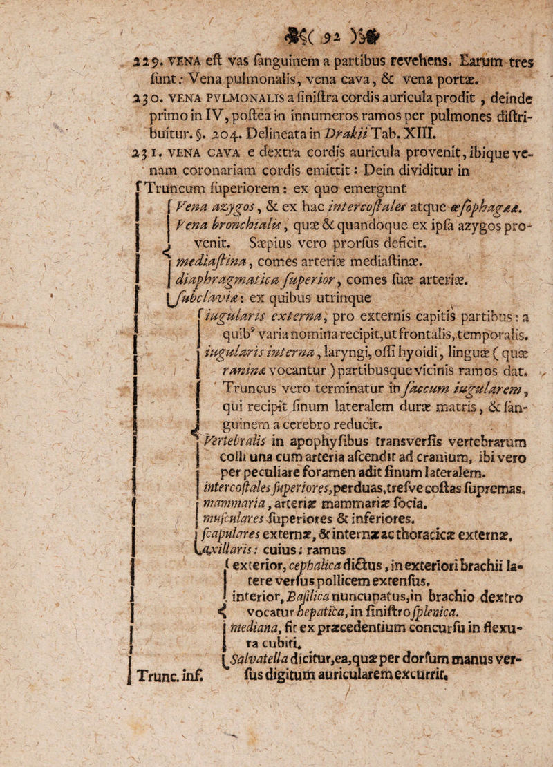 I I l ] %%$. vena eft vas fanguinem a partibus revehens., Earum tres fimt: Vena pulmonalis, vena cava, & vena pome. 230. vena pvlmonalis a finiftra cordis auricula prodit , deinde primo in IV,pofteain innumeros ramos per pulmones diftri- buitur. §. 204. Delineata in Brakii Tab. XIII. 231. vena cava e dextra cordis auricula provenit,ibique ve¬ nam coronariam cordis emittit: Dein dividitur in Truncum (uperiorem: ex quo emergunt Vena azygos, & ex hac intercoflales atque eefophagtiti. Fena bronchialis, quse & quandoque ex ipfa azygos pro¬ venit. Saepius vero prorfus deficit. ] medi.aftina, comes arterioe mediaftinas. J diaphragmatica [aperior, comes fuse arteria. \Jiibclavi&: ex quibus utrinque riaguiaris externa, pro externis capitis partibus:a quib* varia nomina recipit,ut frontalis, temporalis* i agni aris interna, laryngi, ofli hyoidi, linguse ( qux ranim vocantur ) partibusque vicinis ramos dat. Truncus vero terminatur in faecum iugularem, qui recipit finum lateralem duras matris, 6c fan- guinera a cerebro reducit. Vertebralis in apophyfibus transverfis vertebrarum colh una cum arteria afeendir ad cranium, ibi vero per peculiare foramen adit finum lateralem. intercofta'Iesfuperiores,perdu&sitrefve coftas fupremas* | mammaria, arterias mammariae foda. mufculares Tuperiores & inferiores. 1 [capulares externae, 5c internae ac thoracica externae. [jycillaris: cuius * ramus t exterior, cephalica dhOcns,, in exteriori brachii Ia» tere verfus pollicem extenlus. «J vocatu rbepatila, in finiftro fplenica. 1 mediana, fit ex praecedentium concurfu in flexu¬ ra cubiti. \jSalvatella dicitur,ea,qua? per dorfum manus ver- Trunc. inf. fus digitum auricularem excurrit.