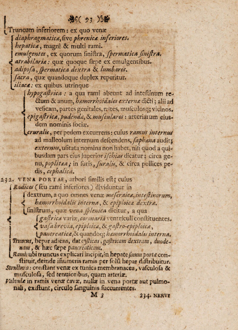 ! #?(■?? Truncum inferiorem: ex quo vense diaphragmaticiive phrenica inferiores* hepatica, magni & multi rami. emulgentes, ex quorum finiftra, fpermaticafniftra, ^ atrahilarta: quse quoque fepe ex emulgentibus, j adipofa, fpermatica dextra & lumbares% J facra, quae quandoque duplex reperitur. \jliaca: ex quibus utrinque (hypogdflrica : a qua rami abeunt ad mtefUntim re- d:um & anum, hamorrhoidales externa dicti; alii ad l velicam, partes genitales, nittes, mufculosq; vicinos* | epig&ftrica, pudenda, & mufculares: arteriarum eius- | dem nominis focia?. \cruralts, per pedem excurretis: cuius ramus internus ad malleolum internum defcendens, faphana audit externus, ufitata nomina non habet, nili quod a qui¬ busdam pars eius iuperior ifchias dicatur; circa ge- t\u,poplitaa ; in furis, furatis, & circa pollices pe¬ dis , cephalica. %* vtNA portae, arbori fimilis eft, cuius Radices ({eu rami inferiores) dividuntur in hamorrhoidalis interna, & epiploica dextra. {Jiniftrum, quae venaJplenica dicitur, a qua ^ (gfiftrica variae, coronaria ventriculi conftituentes* 1^ vafa brevia, epiploica, & gaftro-epiploica, [J>anere at ica,$L quandoq; hamorrhoidales interna* | Truncus, hepar ad*ens, datcyfticas ,gaftricam dextram, dnode- j nam, 8c haec fatpe pancreaticam, \Jiamu ubi truncus explicari indpitfn hepate finum porta con- ftiruit,deinde inorneris ramis per felu hepar riiftribuitur* StmUura: conftanr vena? ex tunica membranacea, vafculofa 6c mufculola, fed tenqioribns, quam arteria. Valvula in ramis vena? Cava?, nulla? in vena porta? aut pulmo* nali, exiftunc, circulo fanguims fuccurrentes, M 2 2} 4* nervi s*<*