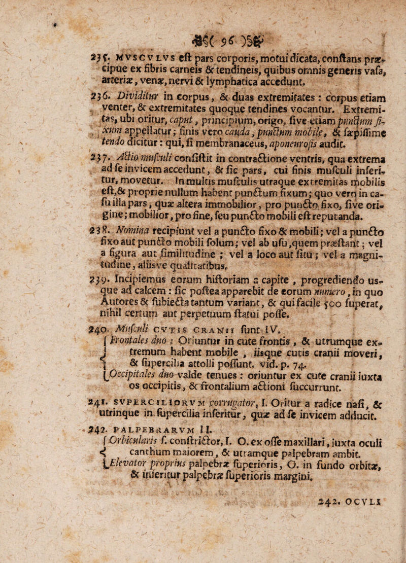 »• a *. mvscv l v s cft pars corporis, motui dicata, conftans prse* dpue ex fibris carneis £r tendineis, quibus omnis genens vafa, arteriae, ven^, nervi & lymphatica accedunt,. ?$6. Dividitur in corpus, 6t duas extremitates : corpus etiam venter, & extremitates quoque tendines vocantur. Extremi- .^s> oritur, caput» prmcipium,origo? five etiampuntyum fi- t xurn appellatur; Unis vero cauda, prnUum mobile, & farpiflime N tendo dicitur: qui, ii membranaceus, aponeurofis audit. 2£7* mufculi confiftit in contra£Uone ventris, qua extrema ad fe invicem accedunt, &fic pars, cui finis mufculi inferi, tor* movetur, in multis mufieuhs utraque extremitas mobilis eft,6e proprie nullum habent punfium fixum; quo vero in ca¬ lli illa pars , qua? altera immobilior, pro pun£to fixo, five ori» gine; mobilior, pro fine, feu pun£lo mofnii eft reputanda. 23$. Momina recipiunt vel a punfto fixo & mobili* vel a pnn&o fixo aut punSo mobili folum; vel ab ufu,quem prseftanc: vel 3 figura aut fimiheudine ; vel a loco auc ficu; vel a magni¬ tudine, aiiisve qualitatibus, Incipiemus eorum hiftoriam a capite , progrediendo us» que ad calcem: fic pollea apparebit de eorum numero, in quo Antores 6c fuhiefta tantum variane, & qui facile foo fuperat, nihil certum aut perpetuum ftatui poffe„ 24Q, Mufculi erns cranii funt £Va V.;' f fontales dm t Oriuntur in cute frontis , & utrumque ex» J jtremum habent mobile , iisque cutis cranii moveri, | & fiipercilia attolli poffunt. vid.p. 74. jjOccipitales dm valde tenues: oriuntur ex cute cranii iuxta os occipitis, 6t frontalium a£iioni fiiccurrunt. /' , 7 ^ ' / .• ,> J » 241. svperciliorvm &migato}\ L Oritur a radice nafi, & utrinque in fiipercilia inferitur, qux adfc invicem adducit. -242» palpebrarvm II. f Orbicularis f. conftri&or, L O. ex offe maxillari, iuxta oculi canthum maiorem, & utramque palpebram ambit. LElevator proprius palpebrae fuperiqris, O. in fundo or bitar, & inferitur palpebra fupencris margini. 342., OCVLX