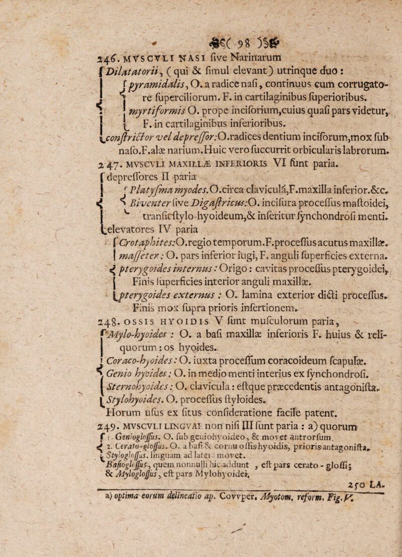 24.6. MVSCVLI K AS i fiVe Marinarum Diiat at orti, ( qui & fimul elevant) utrinque duo : f pyramidalis, O.a radice nafi, continuus cum corrugato- *| re fuperciliorum. F. in cartilaginibus fuperioribus. \ J myrtiformis O. prope incifbrium,cuius quafi pars videtur, { ^ F. in cartilaginibus inferioribus. \confiriclor vel deprejjor: O.radices dentium inciTorum,rnox fub nafc.F.ahe narium.Huic verofuccurrit orbicularis labrorum* 2 47. mvscvli maxilla inferioris VI funt paria* f depreffores II paria J r Blatyfma myodes.O.circa clavicuM,F.maxilla inferior.&c* <4 ^ Biventer five DigaftricwsO. incifura proceffus maftoidei, tranfitftylo-hyoideum,& inferitur iynchondrofi menti* ^elevatores IV paria 'Crotaphites:Oac^\o tem porum. F.proeeffus acutus maxillar* maffeter: O. pars inferior iugi,F. anguli fuperficies externa. ^ pterygordes internus: Origo: cavitas proceffus pterygoidei Finis fiiperficies interior anguli maxilte. 'pterygoid.es externus : O. lamina exterior didti proceffus* Finis mox fupra prioris infertionem. 248. ossis hyoidis V funt mufculorum paria, ^Mylo-hyoides : O. a bafi maxilla inferioris F* huius &: reli¬ quorum 5 os hyordes. Coraco-hjoides: O. iuxta proceffum coracoideum fcapufe. > Genio hfoides: O. in mediomenti interius ex Iynchondrofi. I Stemohyoides: O. clavicula: eftque praecedentis antagonifta* ^Stylohyoidei\ O. proceffus ftyloides. Horum nfiis ex (itus confideratione facile patent. 249. mvscvli lingvae non nifi JII funt paria : a) quorum f : Gewoglojjtis. O. fub geniohyoideo, 8c movet antrorfum. ^ 2. CeratoahaiiSc cornu offis hyoidis, prioris antagonifla* ^StylogUffius. linguam ad later movet. Bafi oghjfits-) quem nonnulli hic-addunt , ellpars cerato - gloffi; 8c Myloglojjus, ell pars Mylohy oidert ____ V- 2to LA* a) optima eorum delineatio ap< Covvper, Myotom. reform. Fig,K ~ 1