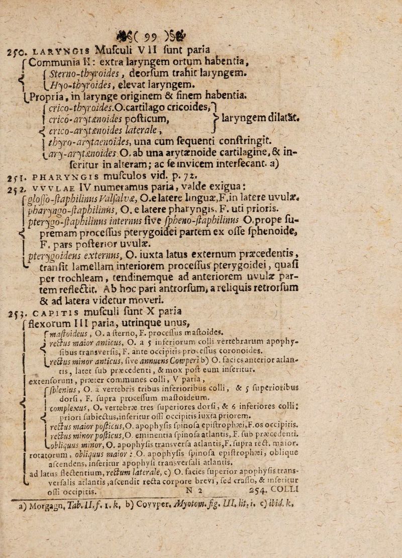 2fc. larykgis Mufculi VII funt paria f Communia H: extra laryngem ortum habentia, i { Sterno-thyroides, deorfum trahit laiyngem. ] \^Hyo-thyroides t elevat laryngem. ^Propria, in larynge originem 6c finem habentia. {cricQ-thyroides.O.Qartilago cricoides/} ] crico-aryUnoides pollicum, > laryngem dilatlt# 4 crico-arytenoides laterale, i j thyro-arytaenoides, una cum fequenti conftringit. \_ary-arytenoides.O, ab una arytacnoide cartilagine^ in- ferirur in alteram; ac (e mvicem interfecant. a) 2fi* pharyngis mufculos vid. p»7^« 2f2. vvvlae iV numeramus paria, valde exigua: rglojjo-ftapbilimis Valjdlvz, O.e latere lingu#>Fjn latere uvular« pharyngo-ftapbilwHs, O* e latere pharyngis, F. uti prioris. pteryoo-ftapbiliriHs internus five fpheno-jlaphilms O.prope fu- premam proceffus pterygoidei partem ex offe fphenoide* F. pars poftenor uvuls*. pterygoideus externus, O. iuxta latus externum praecedentis, * Cranfit lamellam interiorem proceffus pterygoidei, quafl per trochleam, tendinemque ad anteriorem uvulx par¬ tem refleffat. Ab hoc pari antrorfum, a reliquis retrorfum & ad lacera videtur moveri. capitis mufculi funt X paria j flexorum 111 paria, utrinque unus, f ntaftoideus , O. a fterno, F. procellas rraftoides. J rettus maior anticus, O. a 5 inferiorum colli vertebrarum apophjr- ? fibus transverfis, F. ante occipitis procdlus coronoides. \jetius minor anticus, five annuens Cotvperi b) O. faci es anterior atlan¬ tis, latet fub praecedenti, &mox poft eum infericur. extentorum , praeter communes colli, V paria , [plenius, O. a vertebris tribus inferioribus colli, & 5 fupCrioribus dorfi, F. fupra proceffum maffoideum, complexus, O. vertebrae tres fu per iores dorfi, & 6 inferiores colli: priori fubiedus,infericur offi occipicis iuxta priorem. retius maior pojlicus,0. apophyfis fpinofa epiftroph?ei,F.os occipitis. retius minorpoflicus,0. eminentia fpinofa atlantis, F. fub praecedenti. ..obliquus minor,O, apophyfis transverfa atlantis,F.fupra re£l. maior, rotatorum, obliquus maior: O, apophyfis fpinofa epiflrophaei, oblique afcendens, infericur apophyli transverfali atlantis, ad latus flectentium, retium laterale, c) O. facies fuperior apophyfis trans- verfalis atlantis ,afcendic reda corpore brevi, fed craffo, & infericur olli occipitis. N 2 s54* a) Morgagn, Tab, ILf. 1. k\ b) Cgyvper. Jfyotw-fiz* ULlittU c) ii id, k.