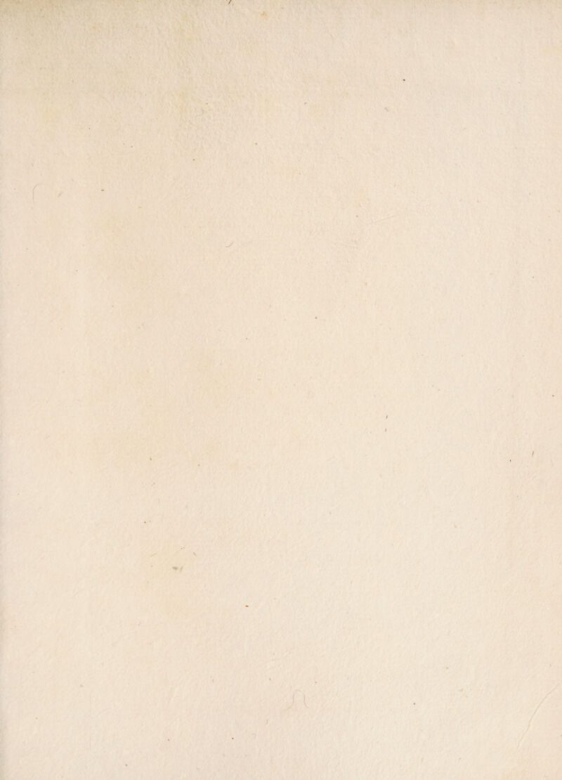 .  . * V . • .* I ' ■ '