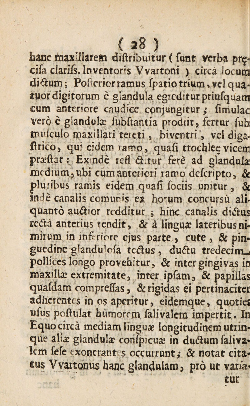 ( 28 ) hanc maxillarem diftribuitur (funt verba pr$- cifa dariis. Inventoris Vvartoni ) circa iocutn didum; Poliericr ramus fpatio trium, vel qua- tuor digitorum e glandula egreditur priufquam cum anteriore caudice conjungitur ; fimulac vero e glandulas lubftantia prodiit, fertur fub mvlculo maxillari tereti, biventri, vel diga.* Urico, qui eidem ramo, quali trochle§ vicem prasftat: Exmde refl d t ur fere ad glandulas medium , ubi cum anteriori ramo defcripto, & pluribus ramis eidem qnafi fociis unitur, Se inde canalis ccnmris ex horum concursu ali¬ quanto audior redditur i hinc canalis didus reda anterius tendit, & a linguas lateribus ni¬ mirum in inferiore ejus parte , cute , Se pin¬ guedine glanduiola redus, dudu tredecim_, pollices longo provehitur, Se inter gingivas in maxillas extremitate, inter ipfam, & papillas quafdatn compreffas, & rigidas ei pertinaciter adherentes in os aperitur, eidemque, quoties ufus poftulat humorem falivalera impertit. In Equo circa mediam linguas longitudinem utrin- que alis glandulas ronfpicuas in dudumfaliva* lem fefe exonerant s occurrunt; & notat cita¬ tus V vartonus hanc glandulam, pro ut varia¬ tur