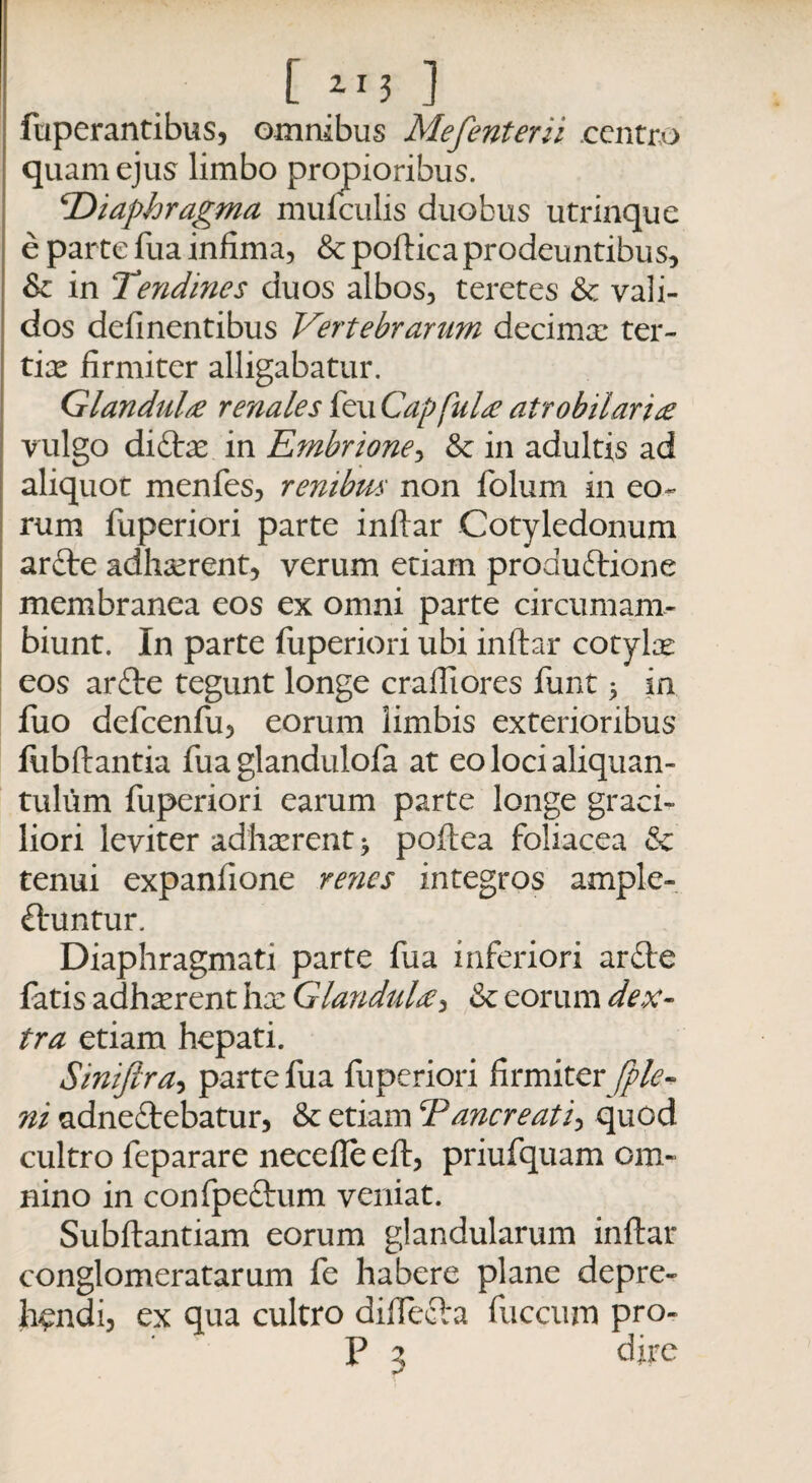 fuperantibus, omnibus Mefenterii centro quam ejus limbo propioribus. Diaphragma mufculis duobus utrinque e parte fua infima, & poftica prodeuntibus, & in Tendines duos albos, teretes & vali- dos delinentibus Vertebrarum decima.* ter- tice firmiter alligabatur. Glandulre renales feu Cap fulte atrobiiari£ vulgo didcx in Embrione, & in adultis ad aliquot menfes, renibus non folum in eo¬ rum fuperiori parte inftar Cotyledonum arfte adhaerent, verum etiam produftione membranea eos ex omni parte circum am¬ biunt. In parte fuperiori ubi inflar cotylae eos arfte tegunt longe craffiores funt > in fiio defcenfu, eorum limbis exterioribus fiibftantia fua glandulofa at eo loci aliquan¬ tulum fuperiori earum parte longe graci¬ liori leviter adhaerent > poflea foliacea & tenui expanfione renes integros ample- ftuntur. Diaphragmati parte fua inferiori arfte fatis adh^rent hx Glanduhe, & eorum dex¬ tra etiam hepati. Siniftra, parte fua fuperiori firmiter fple- ni adneftebatur, & etiam Tancreati, quod cultro feparare necefle eft, priufquam om¬ nino in confpe&um veniat. Subftantiam eorum glandularum inftar conglomeratarum fe habere plane depre¬ hendi, ex qua cultro diffecla fuccum pro- P 3 dire