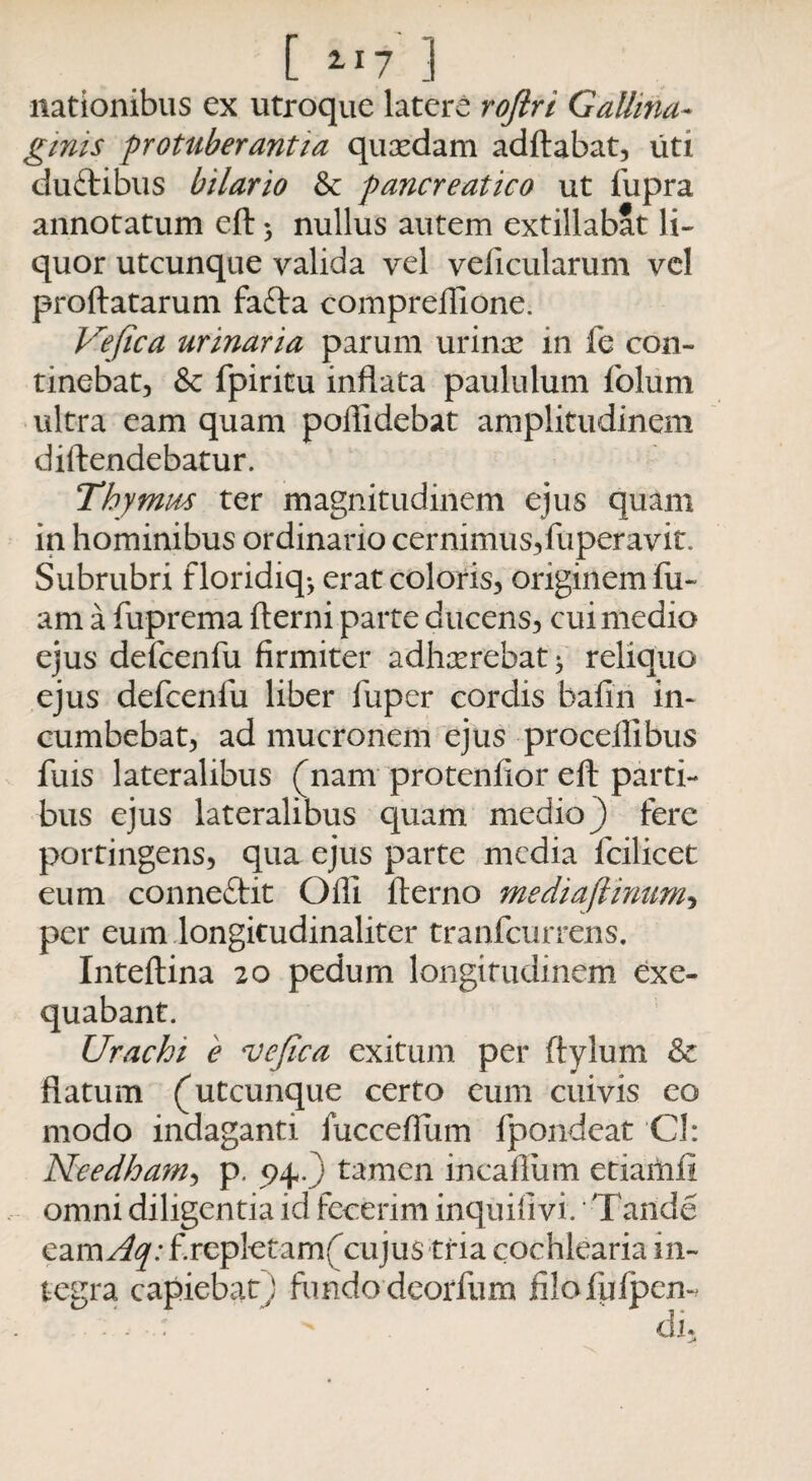 [ ^7 3 nationibus ex utroque latere roftri Gallina* ginis protuberantia quxdam adflabat, uti duftibus bilario Sc pancreatico ut fupra annotatum cfl > nullus autem extillabat li¬ quor utcunque valida vel velicularum vel proflatarum fafta compreffione. Vefica urinaria parum urinx in fe con¬ tinebat, & fpiritu inflata paululum foliim ultra eam quam poflidebat amplitudinem diftendebatur. Tbymids ter magnitudinem ejus quam in hominibus ordinario cernimus,fuperavit Subrubri floridiq> erat coloris, originem lu¬ am a fuprema fterni parte ducens, cui medio ejus defcenfu firmiter adhxrebat ^ reliquo ejus defcenfu liber fuper cordis bafin in¬ cumbebat, ad mucronem ejus procellibus fuis lateralibus (nam protenfior efl parti¬ bus ejus lateralibus quam medio ) fere portingens, qua ejus parte media fcilicet eum conneftit Offi fterno mediaftinum, per eum longitudinaliter tranfeurrens. Inteflina 20 pedum longitudinem exe- quabant. Urachi e vefica exitum per flylum & flatum (utcunque certo eum cuivis eo modo indaganti fuccefliim fpondeat CJ: Needham, p. 9+•) tamen incaflum etiatnfi omni diligentia id fecerim inquifivi.' Tande eam^:f.repletam(cujus tria cochlearia in¬ tegra capiebatj fundo deorfum filofufpem