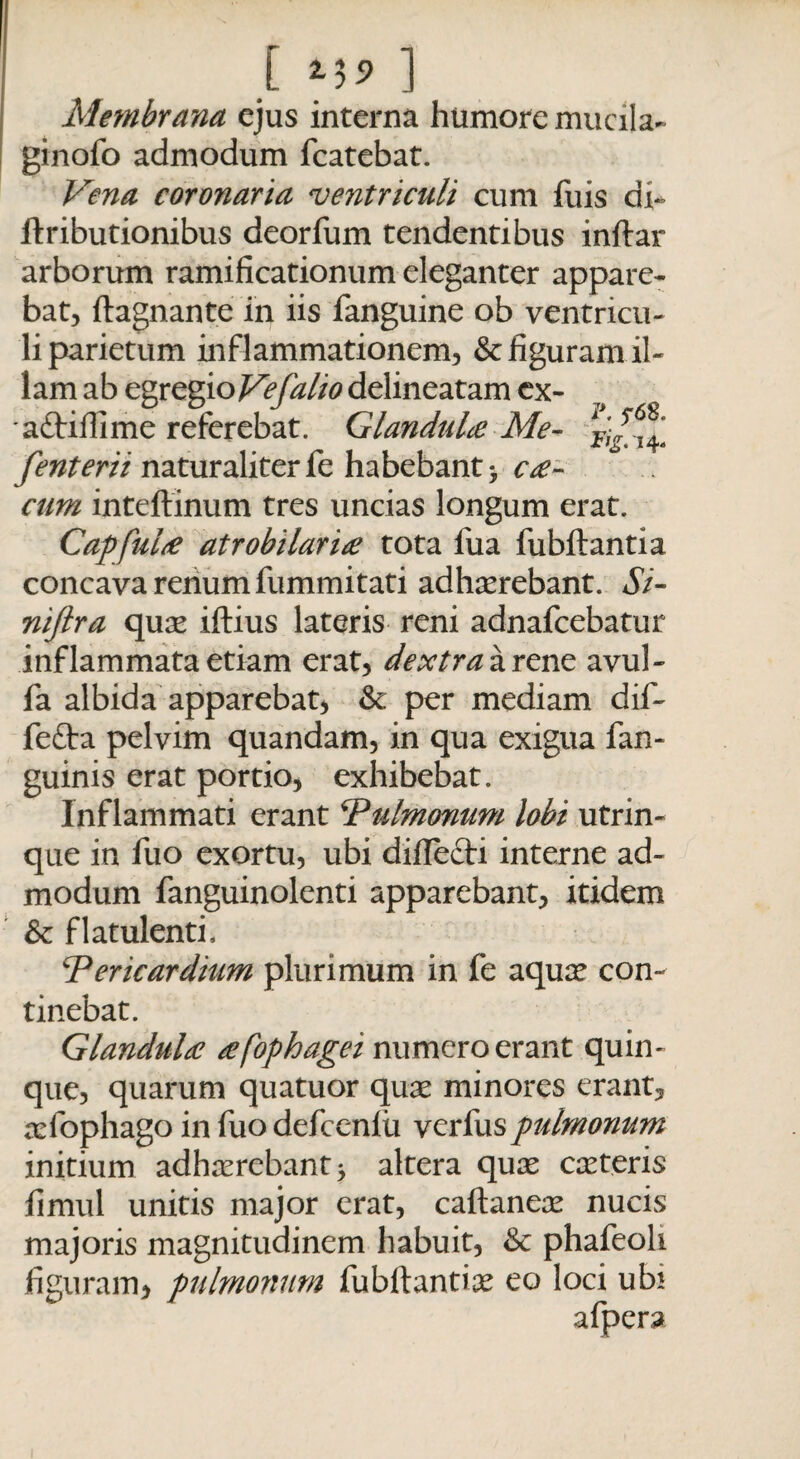 [ 1 Membrana ejus interna humore mucila- ginofo admodum fcatebat. Vena coronaria ventriculi cum fuis di- flributionibus deorfum tendentibus inftar arborum ramificationum eleganter appare¬ bat, ftagnante in iis fanguine ob ventricu¬ li parietum inflammationem, & figuram il¬ lam ab egregio Vefalio delineatam ex- adtiflime referebat. GlanduLe Me- fenterii naturaliter fe habebant > c£- cim inteftinum tres uncias longum erat. CapfuLe at r obi lar i £ tota fua fubftantia concava renum fummitati adhaerebant. Si- niftra quae iftius lateris reni adnafcebatur inflammata etiam erat, dextra irem avul- fa albida apparebat, & per mediam dif- fe£ta pelvim quandam, in qua exigua fan- guinis erat portio, exhibebat. Inflammati erant Pulmonum lobi utrin- que in luo exortu, ubi diflecti interne ad¬ modum fanguinolenti apparebant, itidem &: flatulenti. ‘Pericardium plurimum in fe aquae con¬ tinebat. Glandula? cefophagei numero erant quin¬ que, quarum quatuor quae minores erant, aefophago in fuo defccnlu verfuspulmonum initium adhaerebant* altera quae caeteris fimul unitis major erat, caftaneae nucis majoris magnitudinem habuit, & phafeoli figuram, pulmonum fubftantiae eo loci ubi afpera