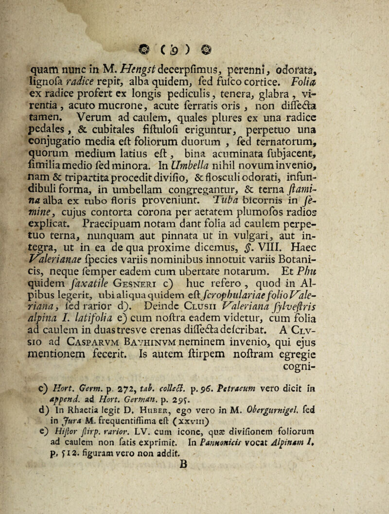 0(^)0 quam nunc in M. Hengstdecerpfimus, perenni, odorata, lignofa radice repit, alba quidem, fed fufco cortice. Folia ex radice profert ex longis pediculis, tenera, glabra , vi¬ rentia , acuto mucrone, acute ferratis oris , non difle&a tamen* Verum ad caulem, quales plures ex una radice pedales, & cubitales fiflulofi eriguntur, perpetuo una conjugatio media eft foliorum duorum , fed tornatorum, quorum medium latius eft , bina acuminata fubjacent, fimilia medio fed minora. In Umbella nihil novum invenio, nam & tripartita procedit divifio, & flosculi odorati, infun¬ dibuli forma, in umbellam congregantur, & terna flami¬ na alba ex tubo floris proveniunt. Tuba bicornis in fe¬ mine, cujus contorta corona per aetatem plumofos radios explicat. Praecipuam notam dant folia ad caulem perpe¬ tuo terna, nunquam aut pinnata ut in vulgari, aut in¬ tegra, ut in ea de qua proxime dicemus, §. VIII. Haec Valerianae fpecies variis nominibus innotuit variis Botani¬ cis, neque femper eadem cum ubertate notarum. Et Pbu quidem faxatile Gesneri c) huc refero , quod in Al¬ pibus legerit, ubi aliqua quidem eft Jcropbulariae folio Vale¬ riana, ied rarior d). Deinde Clusii Valeriana fylvefiris alpina L latifolia e) cum noftra eadem videtur, cum folia ad caulem in duastresve crenas difle&addcribat. A Clv- sio ad Casparvm Bavhinvm neminem invenio, qui ejus mentionem fecerit. Is autem ftirpem noftram egregie cogni- c) Hort. Germ. p. 272, tah. collccl. p. 96, Petraeum vero dicit in append. ad Hort. German. p. 29$. d) In Rhaetia legit D. Ruber, ego vero in M. Obergurnigel, fed in Jura M. frequentifiima eft (xxvm) e) Hijlor fiirp. rarior. LV. cum icone, qus divifionem foliorum ad caulem non fatis exprimit. In Pannonicis vocat Alpinam /♦ p, f 13. figuram vero non addit. B