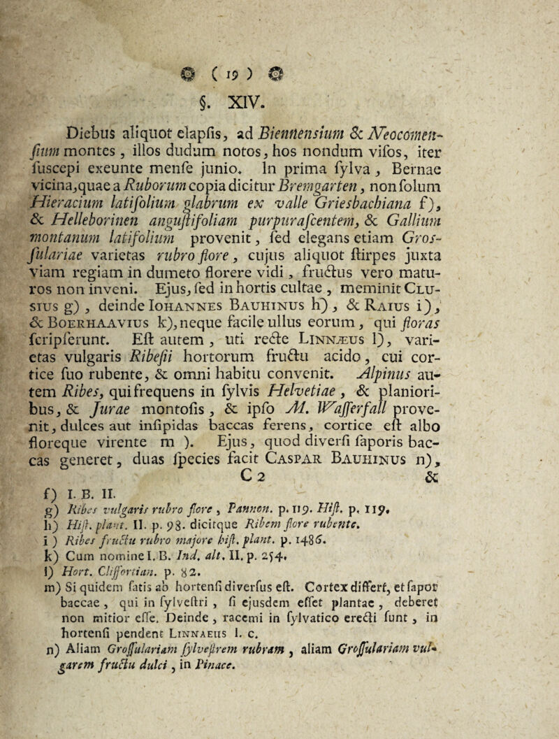 §. XIV. Diebus aliquot elapfis, ad Bieniiensium 8c Neocoirten- fmm montes, illos dudum notos, hos nondum vifos, iter fuscepi exeunte menfe junio. In prima fylva , Bernae vicina,quae a Ruborum copia dicitur Bremgarten , non folum Hieracium latifolium glabrum ex valle Griesbachiana f), & Helleborinen angufiifoliam purpura fient em > & Gallium montanum latifolium provenit , fed elegans etiam Gros~ fulariae varietas rubro flore, cujus aliquot ftirpes juxta viam regiam in dumeto florere vidi , frudius vero matu¬ ros non inveni. Ejus, fed in hortis cultae , meminit Clu¬ sius g) , deinde Iohannes Bauhinus h) , & Raius i), &Boerhaavius k), neque facile ullus eorum, qui floras fcripferunt. Eft autem , uti recle Linnjeus 1), vari¬ etas vulgaris Ribefii hortorum frufru acido , cui cor¬ tice fuo rubente, <5c omni habitu convenit. Alpinus au¬ tem Ribes, qui frequens in fylvis Helvetiae , Sc planiori¬ bus^ Jurae montofis , & ipfo AI. VAajflerfall prove¬ nit, dulces aut infipidas baccas ferens cortice eft albo floreque virente m ). Ejus, quod diverfi faporis bac¬ cas generet, duas ipecies facit Caspar Bauhinus n), C 2 & f) I. B. II. g) Ribes vulgaris rubro flore , Panum. p. 119. Hifl. p. iip, h) Hifl. flant. II. p. 93. dicitque Ribcm flore rubente. i ) Ribes fruRtt rubro majore hifl. piant. p. 1485. k) Cum nomine I.B. Ind. ait. II. p. 2^4» l) Hort. Clijfortian. p. 32. m) Si quidem fatis ab hortenfi diverfus eft. Cortex differt, etfapor baccae , qui in fyiveftri , fi ejusdem effet plantae , deberet non mitior efle. Deinde , racemi in fylvatico ere£U funt, ia hortenfi pendent Linnaeus 1. c. n) Aliam Grojfulariam flylveflrem rubram , aliam Groflflulaviam vul¬ garem fructu dulci, in Pinace.