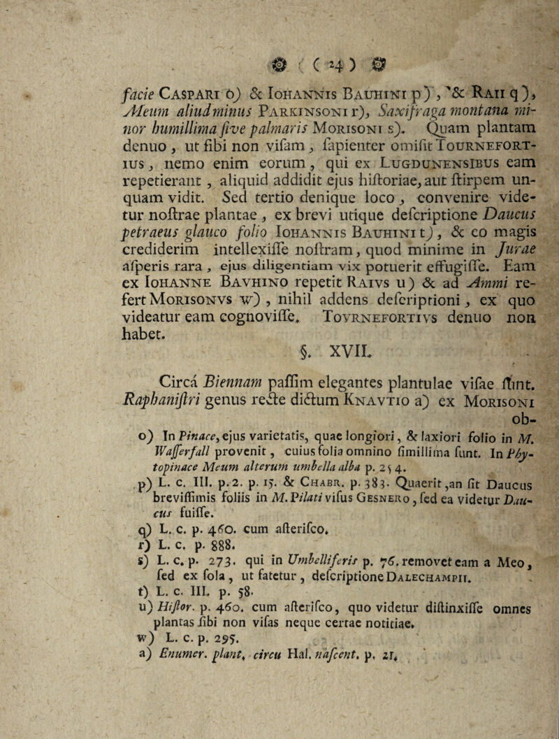 facie Caspari o) & Iohannis Bauhini p) , Raii q), Aleum aliud minus Parkinsoni r), Saxifraga montana mi¬ nor humillima five palmaris Morisoni s). Quam plantam denuo , ut fibi non vifam ,, fapienter omifit Tournefort- ius nemo enim eorum, qui ex Lugdunensibus eam repetierant , aliquid addidit ejus hiftoriae, aut ftirpem un¬ quam vidit. Sed tertio denique loco , convenire vide¬ tur noftrae plantae , ex brevi utique defcriptione Daucus petraeus glauco folio Iohannis Bauhini t), & eo magis crediderim intellexlfle noftram, quod minime in Jurae afperis rara , ejus diligentiam vix potuerit effugi fle. Eam ex Iohanne Bavhino repetit Raivs u) & ad Ammi re¬ fert Morisonvs w) , nihil addens defcriptioni , ex quo videatur eam cognovifle, Tovrnefortivs denuo non habet. §. XVIL Circa Biennam paffim elegantes plantulae vifae ftint. Rapbaniftri genus redle di&um Knavtio a) ex Morisoni ob- o) In Pittace, ejus varietatis, quae longiori, & laxiori folio in M. IVajferfall provenit, cuius folia omnino fimillitna funt. I xiPhy- topinace Meum alterum umbella alba p. 2^ 4. p) L. c. III. p.2. p. 15. & Chabr. p. 383. Quaerit,an fit Daucus breviflimis foliis in M.ViUti vifus Gesnero , feci ea videtur Dau¬ cus fuiffe. q) L. c. p. 460. cum afterifeo. r) L. c. p. 888* s) L. c* p. 273. qui in Umbelliferis p. 76. removet eam a Meo, fed exfola, ut fatetur , defcriptione Dalechampii, t) L. c. IIL p. 58« u) Hiftor. p. 460. cum afterifco, quo videtur diftinxiife omnes plantas libi non vifas neque certae notitiae. w) L. c. p. 295. a) Enumer. piant 4 circu Hal. nafeint. p. zr4