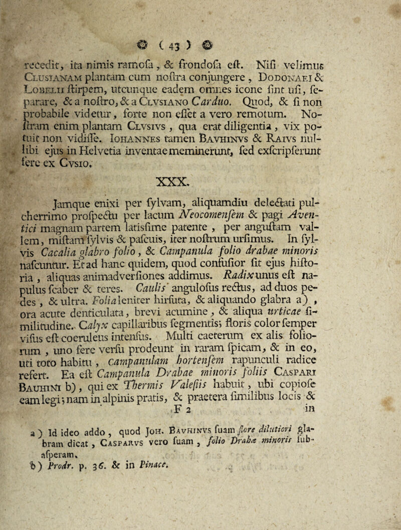 recedit, ita nimis ramcfa , & frondofe eft. Nifi velimus Clustanam plantam cum noftra conjungere , Dodonaei & Lobelii ftirpem, utcunque eadem omnes icone fint ufi, fe- parare, &a noftro, & a Clvsiano Carduo. Quod, & fi non probabile videtur, forte non efiet a vero remotum. No- ftram enim plantam Clvsivs , qua erat diligentia , vix po¬ tuit non vidifle. Iohannes tamen Bavhinvs & Raivs nul¬ libi ejus in Helvetia inventae meminerunt, fed exfcripferunt fere ex Cvsio, ' XXX. Jamque enixi per fylvam, aliquamdiu deleflati pul¬ cherrimo profpe&u per lacum Neocomenfem & pagi Aven¬ tici magnam partem latisfime patente , per anguftam val¬ lem, miftam fylvis & pafcuis, iter noftrum urfimus. In fyl- vis Cacalia glabro folio, & Campanula folio drabae minoris nafcunmr. Et ad hanc quidem, quod confiifior fit ejus hifto- ria , aliquas animadverfiones addimus. Radix unus eft na- pulusfcaber & teres. Caulis angulofus redhts, ad duos pe¬ des , & ultra. Folia leniter hirluta, & aliquando glabra a) , ora acute denticulata, brevi acumine, & aliqua urticae fi- militudirte. Calyx capillaribus fegmentis> floris color femper vifus eft coeruleus intenfas. Multi caeterum ex alis folio¬ rum , uno fere verfu prodeunt in raram fpicam, Sc in eo, uti toto habim , campatmlam bortenfem rapunculi radice refert. Ea eft Campanula Drabae minoris foliis Caspari Bauhinu b) , qui ex Thermis Valefns habuit, ubi copiofe eam legi-, nam in alpinis pratis, & praetera fimilibus locis& F 2 in a ) Id ideo addo , quod Joh. Bavhinvs fuam fore Mutiori gla¬ bram dicat , Casparvs vero fuam , folio Drab* minorit Sub- afperam» %') Prodr. p. 36. & in Pinae e.