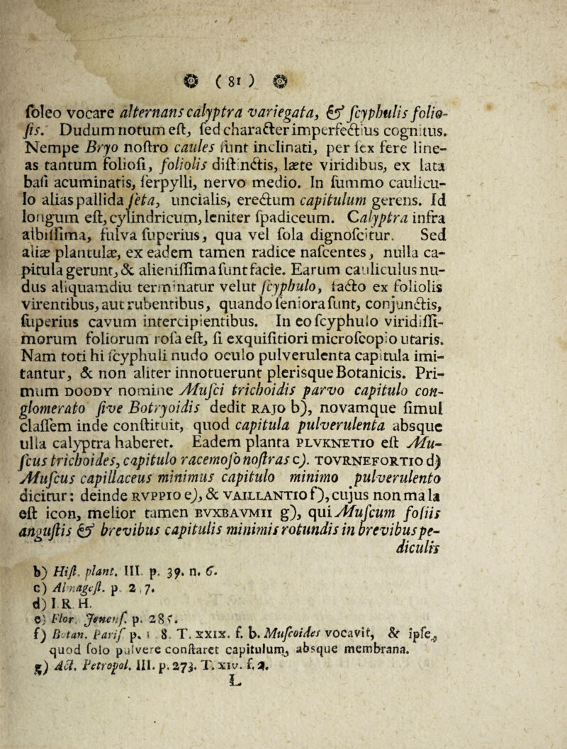 e (si.) © (oleo vocare alternans calyptra variegata, & fcypbulis folio- fis. Dudum notum eft, fed charafterimperfectius cognitus. Nempe Bryo noftro caules ftint inclinati, per fex fere line¬ as tantum folioli, foliolis diftin&is, laete viridibus, ex lata bali acuminatis, lerpylli, nervo medio. In fiimmo caulicu¬ lo alias pallida feta, uncialis, ereCtum capitulum gerens. Id longum eft, cylindricum, leniter fpadiceum. Calyptra infra aibilfima, fulva fuperius, qua vel fola dignofdtur. Sed aliae plarituhe, ex eadem tamen radice nafcentes, nulla ca¬ pitula gerunt, & alieniffimafunt facie. Earum cauliculus nu¬ dus aliquamdiu terminatur velut fcyphulo, laCto ex foliolis virentibus, aut rubentibus, quando feni ora funt, conjunCfis, fuperius cavum intercipientibus. In eo fcyphulo viridiffi- morum foliorum rofa eft, ft exquilitiori microfcopio utaris. Nam toti hi fcyphuli nudo oculo pulverulenta capitula imi¬ tantur, & non aliter innotuerunt plerisque Botanicis. Pri¬ mum doody nomine AfuJci trieboidis parvo capitulo con¬ glomerato five Botryoidis dedit rajo b), novamque fimul clalTem inde conftituit, quod capitula pulverulenta absque ulla calyptra haberet. Eadem planta plvknetio eft Mu- fcus trichoides, capitulo racemofonoftras c). tovrnefortio d) Afufcus capillaceus minimus capitulo minimo pulverulento dicitur: deinde rvppio e), & vaillantio f), cujus nonma h eft icon, melior tamen bvxbavmii g), qui Afufcum f otiis anguftis & brevibus capitulis minimis rotundis in brevibus pe¬ diculis b) Hi fi, piant, III. p. 39. n. 6*. C) Alnagcfi. p. 2,7. d)l R H. C) Flor Jenenf p. f) Botan, parif p. \ 8. T. XXIX. f. b. Mufcoidcr vocavit, & ipfe, quod folo pulvere conflaret capitulum, absque membrana.