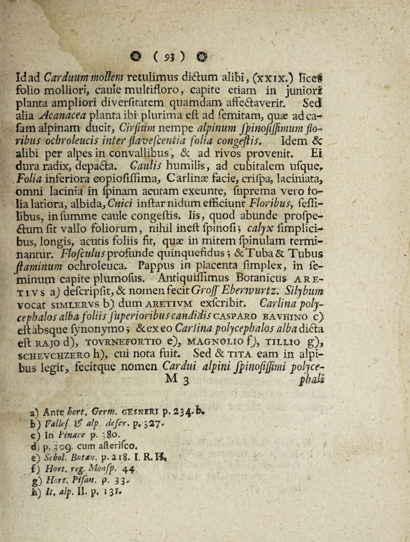 Id ad Carduum mollem retulimus di dium alibi, (xxix.) Fice# folio molliori, caule multifloro, capite etiam in juniori planta ampliori diverfitatem quamdam aftedfaverit. Sed alia Acanacea planta ibi plurima eft ad femitam, quae adca- famalpinam ducit, Cirfium nempe alpinum fpinofijfimum flo¬ ribus ochroleucis inter flavefcentia folia congeflis. Idem <3c alibi per alpes in convallibus, & ad rivos provenit. Ei dura radix, depadta. Caulis humilis, ad cubitalem ufque. Folia inferiora copiofillima, C arlinae facie, crifpa, laciniata, omni lacinia in fpinam acutam exeunte, fuprema vero fo¬ lia latiora, albida. Cnici inftar nidum efficiunt Floribus, fefli- libus, infumme caule congeflis. Iis, quod abunde profpe- dfum fit vallo foliorum, nihil ineft fpinofr, calyx firnplici¬ bus, longis, acutis foliis fit, quae in mitem fpinulam termi¬ nantur. Flofculusprofunde quinquefidus; &Tuba& Tubus flaminum ochroleuca. Pappus in placenta fimplex, in fe¬ minum capite plumofus. Antiquiflimus Botanicus are- tivs a) defcripfit, & nomen fecit Groff Eberwurtz. Siljbum vocat stmlervs b) dum aretivm exfcribit. Carlinapoly- cepbalos alba foliis fuperioribus candidis casparo bavhino c). eft absque fynonymo ■, & ex eo Car lina polycephalos alba didta eft RAJO d), TOVRNEFORTIO e), MAGNOLIO f), TILLIO g), schevchzero h), cui nota fuit. Sed & tita eam in alpi- bus legit, fecitque nomen Cardui alpini fpinofifflmi polyce- M 3 pbali a) Ante ftort. Gertn. cEnrm p. 234-few b) falle/ g) a!p. defer. p* $27* e) In Pinare p. ;&o. d; p, 309 cum afterilco* e) Scbol. Rotan. p. ZiS. I. R. K* i) Hort. reg. Mmfp. 44, g) Hort, Pifm. p. 33.