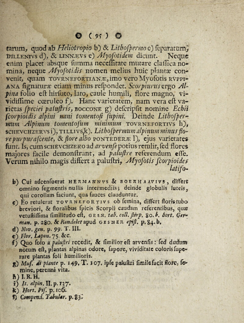 tarum, quod ab Heliotropio b) & Litboflpermo c) feparammj tHLLENivs d), & linnavs e) Myoflotidem dicunt. Neque enim placet absque fumma neceilitate mutare ctaffica no* mina, neque Afyoflotidis nomen melius huic piante con¬ venit, quam tovrnefortiana, imo vero Myofotis rvppi- ana lignatura? etiam minus refpondet. Scorpiurus ergo Al¬ pina folio eft hirfuto, lato, caule humili, flore magno, vi- vidiflime coeruleo f J, Hanc varietatem, nam vera eft va¬ rietas fpeciei paluftris, boccone g) defcripfit nomine Echii fcorpioidis alpini nani tomentofi flupini. Deinde Litboflper- mum Alpinum tomentofum minimum tovrnefortivs h), schevchzervs i), tilli vSjfc). Litboflpermum alpinum minus flo¬ re purpurafcente, & flore albo pontedera 1), ejus varietates finit. Is, cum scHEvcHZERoad arvenfe potius retulit, fed flores majores facile demonftrant, ad paluflre referendum effle. Verum nihilo magis differt a paluftriy Afyoflotis fleorpioides latiflo- b) Cui' adeenfuerat hermannvs & boerh a avivs , differt omnino Tegmentis nullis intermediis j deinde globulis luteis^ qui corollam faciunt, qua fauces clauduntur. c) Eo retulerat tovrnefortivs ob femina, differt floris tubo breviori, & floralibus fpiers Scorpii caudam referentibus, quae vetuftiflima fimilitudo eft, gesn, tab. colhjlrrp, 8o.£. bort, Ger- man. p. 280. &Kondeletapud gusnER cpfl. pt 84.b, cf) Nov, gen. p, 99. T. III. t) Flor, Lapon, 75. &c. {) Quo foio a palujlri recedit, & funilioi* eft arvenfis: fed dudutn notum eft, plantas alpinas odore, fapore, vividitate coloris fiipe* rare plantas foli humilioris. g) Mufl di piante p. 149, T. 107, ipfe paluftri fimilefacit flore, fe- mine, perenni vita. fi) I.R.H. ' r) It. alpin, II. p. 137. k) Hort. Pifl p. ic6. J) Qompend. TaiuUr. p. 83 .