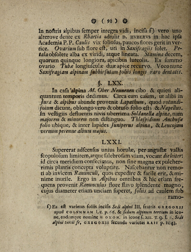 In noftris stipibus femper integra vidi, incila f) vero uno alterove dente ex Rhaetia adtulit d. hveervs in hac ipfa Academia P.P. Caulis vix foliofus, paucos flores gerit in ver¬ tice. Ovarium fub flore eft, ud in Saxifragiis folet. Pe¬ tala obfolete alba ex viridi, atque lineata. Stamina decem, quorum quinque longiora, apicibus luteolis. Ex fummo ovario Tub<e longiufcuhe duae apice recurvo. Voco nunc Saxifragiam alpinam fubhirfuta.ni foliis longis raro dentatis. $. LXX. In cala 'alpina AT. Ober Neunenen cibo & quieti ali¬ quantum temporis dedimus. Circa eam catam, ut alibi in jura & alpibus abunde provenit Lapathum, quod rotundi¬ folum dicunt, oblongo vero & obtufo folio eft-, & Napellus. In veftigiis defluentis nivis uberrima Soldanella alpina, nam majorem & minorem non diftinguo. Thiafpidium Anchufe folio ubique, & inter lapides Juniperus alpina, & Leucojum vernum perenne album majus. lxxi. - ■ • ' | Supererat adfcenlus unitis horulse, per anguftsc vallis fcopulofum limitem,atque falebrolam viam, vocant dieleiter: id circa meridiem confecimus, non line magna ex pulcher¬ rimis plantis concepta voluptate. Nafcebantur non remo¬ ti ab invicem Ranunculi, quos expedire & facile erit, & mi¬ nime inutile. Ergo in Alpibus omnibus & hic etiam fre¬ quens provenit Ranunculus flore flavo Iplendente magno, cujus diameter etiam unciam fuperct, foliis ad caulem fub ramo- f)Ea eft varietas foliis incitis Sedi alpini III, fratris GREGORIJ apud c o lvm nam Lc. p, K6. fedum alpinum tertium in ico¬ ne, eodemqile nomine h oxon. in icone f. xn. T.g. f. Sedi alpini tertii frf gregoiui fecunda varietas iv A11 p. 1043»