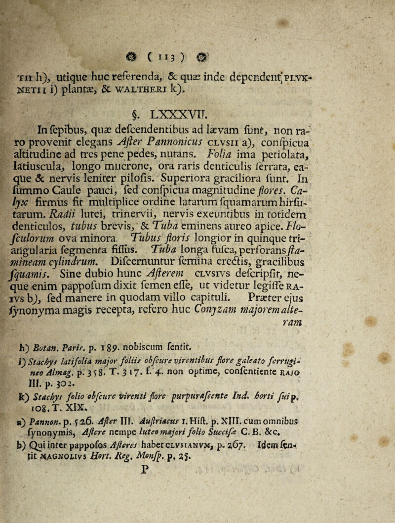 xrr h), utique huc referenda, & quae inde dependent'plvs- Ketii i) plantae, & waetheri k). §. LXXXVIL Infepibus, quae defcendentibus ad larvam funt, non ra¬ ro provenit elegans After Pannonicus clvsii a), confpicua altitudine ad tres pene pedes, nutans. Folia ima petiolata, latiuscula, longo mucrone, ora raris denticulis ferrata, ea- que & nervis leniter pilofis. Superiora graciliora funt. In fummo Caule pauci, fed confpicua magnitudine flores. Ca¬ lyx firmus fic multiplice ordine latarum fquamarum hirfii- tarum. Radii lutei, trinervii, nervis exeuntibus in totidem denticulos, tubus brevis^ &. Tuba eminens aureo apice. Flo- fculorum ova minora. Tubus floris longior in quinque tri¬ angularia fegmenta filius. Tuba longa fufea, perforansJla- mineam cylindrum. Difcemuntur femina eredis, gracilibus fquamis. Sine dubio hunc Afierem clvsivs defcripfit, ne¬ que enim pappofum dixit femen efle, ut videtur legifie ra- ivs bj, fed manere in quodam villo capituli. Praeter ejus fynonyma magis recepta, refero huc Conyzam majorem alte- I ' ■ .• ' . ram h) Botan. Parir♦ p. 18P* nobiscum fentit» i) Stachys latifolia major foliis obfcure virentibus flore galeato ferrugi¬ neo Almag. p. T. 3 17. f. 4. non optime, contendente raso III. p, 302. k) Stachys folio obfcure virenti fore purpurafeente Ind. horti fuip, 108.T. XIX, a) Pannon. p. f 26. Afer III. Aujlriacus I. Hift;. p. XIII. cum omnibus fynonymis, Afiere nempe luteo majori folio Succife C.B. &c* b) Qui inter pappofos A feres habet clvsianvm, p* 267» Idem kn+ tit AtAGNOjJvs Hm* Reg. Monfp, p, aj. P