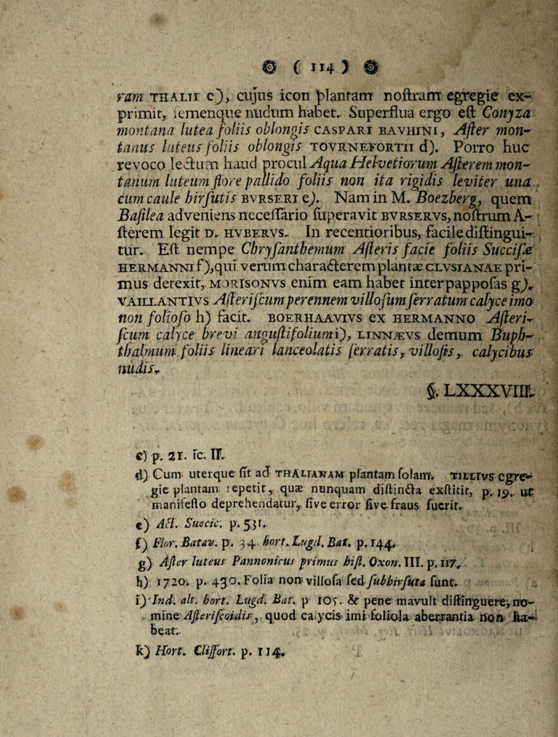 ram thalii c), cujus icon plantam noftram egregie ex¬ primit, iemenque nudum habet*. Superflua ergo eft Conyza montana lutea foliis oblongis caspari bavhini, Afier mon¬ tanus luteus foliis oblongis tovrnefortii d). Porro huc re voco lectum haud procul Aqua Helvetiorum Alterem mon¬ tanum lutam flore pallido foliis non ita rigidis leviter una cum caule hir futis bvrseri e). Nam in M. Boezberg, quem Bafilea adveniens neceflario ftiperavit bvrservs, noftrum A- fterem legit d. hvbervs. In recentioribus, facile diflingui- tur. Eft nempe Cbryfantbemum Afteris facie foliis Succife HERMAisnsrr f),qui veram characterem plantae clvsianae pri¬ mus detexit, morisonvs enim eam habet inter pappofas gf vaillaistti vs Afierifcumperennem villofumferratum calyce ima non foliofo h) facit, boerhaavivs ex hermanno Afieri- fcum calyce brevi anguftifoliumi), lustntevs demum Bupb- th almum folii s: lineari lanceolatis (erratis x villo fis T calycibus> nudisr* & Lxxxvim c) p . 2r. ic. IF. d) Cams uterque fit ad thaliawam plantam folant. 'riirrvs egre'- gie plantam lepetit , quae nunquam diftin&a exftitit, p. 19 ut manifdlo deprehendatur,, fi ve error five fraus fuerit. e) AH. Suecic: p. Jjf. f) Flor.Batav. p. 34 hort. Lugd. Bat. p. 144. gj Afer lutem Pannonicus primus bifl, Oxon. III. p, 11 j0 h) 1720. p. 450. Folia non villofa fed funt. Vylnd. ait. hort. Lugd. Bat. p iOf • & pene mavult difiinguere,no¬ mine Ajierifeoidis^ quod calyds» imi foliola aberrantia rtoniia- beatc k) Hort. Clijjort. p. 114*