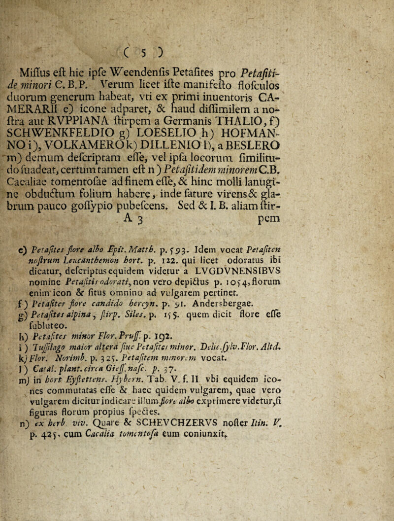 Millus eft hic ipfe Weendcnfis Petafltes pro Petafiti- de minori C. B.P. Verum licet ifte manifefto flofculos duorum generum habeat, vti ex primi inuentoris CA¬ MERARII e) icone adparet, & haud diflimilem a no- ftra aut RVPPIANA ftirpem a Germanis THALIO,f) SCHWENKFELDIO g) LOESELIO h) HOFMAN- NO i), VOLKAMEROk) DILL.ENIO 1), aBESLERO m) demum deferiptam efle, vel ipfa locorum fimilitu- i!ofuadeat, certumramen cit n ) Petafitidem minoremC.B. Cacaliae tomentofae ad finem effe,& hinc molli lanugi¬ ne obdu&um folium habere, inde fature virensde gla¬ brum pauco goflypio pubefeens. Sed & I. B. aliam ftir- * ' . A 3 pem c) Petafltes fiorc albo Epit.Matth. p. Idem vocat Petafltcn noftrum Leucanthemon hort. p. 122, qui licet odoratus ibi dicatur, deferiptus equidem videtur a LVGDVNENSIBVS nomine P et afltis odorati^ non vero depidus p. io> 4, florum enim icon & fitus omnino ad vulgarem pertineo f) Petafites flore candido bercyn. p. 91. Andersbergae. g) Petafites alpina, flirp. Siles, p. 1^5. quem dicit flore efle fubluteo. h) Petafltcs minor Flor. Prujfl. p. ICJ2. i) lujfilag0 maior altera flue petafltes minor. D clic.fylv. Flor. Alt k; Flor. Norim b. p. 32^ Petaftem minorem vocat. I) Catal. piant, circa Gieff.nafc. p. 37. mj in hort Eyftettcns. Hyhern. Tab. V. f. II vbi equidem ico¬ nes commutatas efle & haec quidem vulgarem, quae vero vulgarem dicitur indicare illumflore albo exprimere videtur,fi figuras florum propius fpedes. n) cx berb viv. Quare & SCHEVCHZERVS nofter Itin. K p. 42^ cum Cacalia tomentofa eum conjunxit*