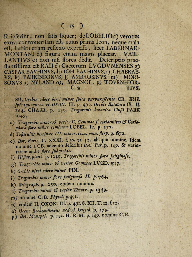 C i? ) fcripferint, non fatis liquet; de LOBELIO c) vero res extra controuerfiam eft, cuius prima Icon, neque mala eft, habitu etiam reflexo expreflo, licet TABERNAE- MONTANI d) figura etiam magis placeat. VA1L- LANTIVS e) non nifi flores dedit. Defcriptio praet- ftamiffima eft RAII £) Caeterum LVGDVNENSES g) CASPAR BAVH1NVS, h) IOH.BAVHINVS,i) CHABRAE- VS, k) PARKINSONVS, 1) AMBROSINVS. m) MORI- SONVSu) NYLAND o),'MAGNOL, p) TOVRNEFOR- C z TIVS, SII, Orchis odore hirci minor fpica purpurafccnte CB. IRH* fpicapurpurea H.OXOtf. III. p- 492. Orchis Batavica IB. II. 764. CHABR. p. 2^0. Tragorchis batavica Clufii PARK IC49. c) Tr agor c his minor d verior C. Gemmae f ceriosmites d Corte* phora flore injfar cimicum LOBEL. Ic. p. 177. d) Teficulus hircinus III, minor. Icon, omn.firp. p» 672. e) Bot. Paris T. XXXI. f. 50. 31. $2. absque nomine. Idem nomine a CB. adeepto deferibit Bot, Par. p. 149. & varie* tatem addit fore fuhviridi. f) Hi for. piant, p. 12 ^3. Tragorchis minor fore fuliginofi. g) Tragorchis minor d verior Gemmae LVGD. iff 7. h) Orchis hirci odore minor PIN. i) Tragorchis minor fore fuliginofo II. p. 7 64, k) Sciagraph. p. 250. eodem nomine. 1) Tragorchis minor d verior Theatr. p. 1349« m) nomine C. B. Bhytol. p. 392• n) eodem H. OXON. III* p* 49*» XII. X. 12. £ to* o) klcene Bockskullekens nederl kruytb. p. 279. p) Bot, MonspeL p. 192. H. R.M. p. 149. nomine C,B*