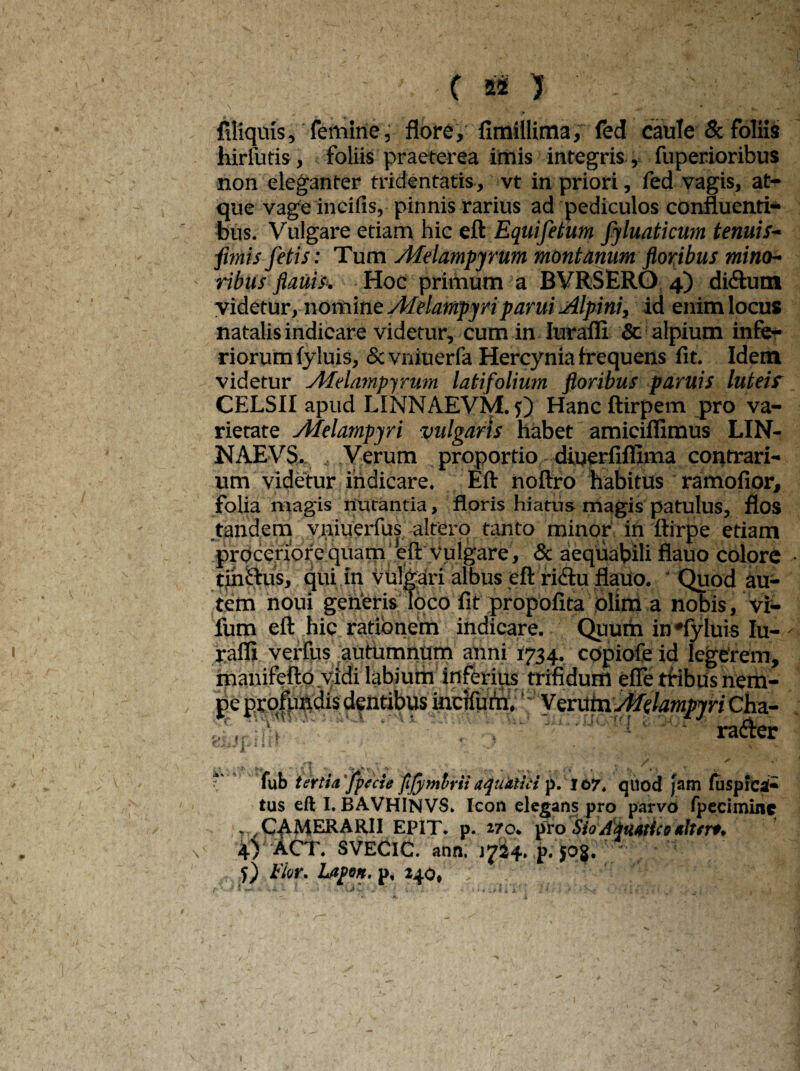 filiqms, femine, flore, fimillima, fed caule & foliis hirlutis, foliis praeterea imis integris , fuperioribus non eleganter tridentatis, vt in priori, fed vagis, at¬ que vage incifis, pinnis rarius ad pediculos confluenti¬ bus. Vulgare etiam hic eft Equifetum fyluaticum tenuis- fimis fetis: Tum Afelampyrum montanum floribus mino¬ ribus flauiS'. Hoc primum a BVRSERO 4) diftutn videtur, nomine Afelampyriparui Alpini, id enim locus natalis indicare videtur, cum in Iurafli & alpium infe¬ riorum fyluis, &vniuerfa Hercynia frequens fit. Idem videtur Afelampyrum latifolium floribus paruis luteisr CELSII apud LINNAEVM. 0 Hancftirpem pro va¬ rietate Afelampyri vulgaris habet amiciflimus LIN- NAEVS. , Verum proportio diuerfiflima contrari¬ um videtur indicare. Eft noftro habitus ramofipr, folia magis nutantia, floris hiatus magis patulus, flos tandem vniuerfus altero tanto minor in ftirpe etiam proceriore quam eft vulgare, & aequabili flauo colore tihSftus, qui in vulgari albus eft ri<ftu flauo. Quod au¬ tem noui generis loco fit propofita olim a nobis, vi- fum eft hic rationem indicare. Quum in*fyluis Iu¬ rafli verfus autumnum anni 1734. copiofe id legerem, manifefto vidi labium inferius trifidum effe tribus nem- “pe ppq|iiftdis dentibus incifufn.' Veruta Afelampyri Cha- ■•'i 1 V' -.i rf \ fub tertia jpecie fifymhrii aqubtiti p. 107, quod Jam fusplcah tus eft I. BAVHINVS» Icon elegans pro parvo fpeciminc CAMERARII EPIT. p. i?o. pro Sio Aquatico dtert. ACT. SVEClC. ann. j724. p. jc>8. 5) Flor. Lapon. p, 240» V 1