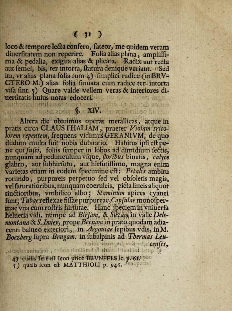 ( ?* > loco & tempore leda confero, fateor, me quidem veram diuerfitatem non reperire. Folia alias plana, ampliffi- ma & pedalia, exigua alias & plicata. Radix aut reda aut femel, bis, ter intorta, flatura denique variant. < Sed ita, vt alias plana folia cum 4) fimplici radice {inBRV- CTERO M.) alias folia finuata cum radice ter intorta vifa fint. 5) Quare valde vellem veras & interiores di- uerfitatis huius notas edoceri. . §• XIV. -« > • < • f \ * Altera die obiuimus operas metallicas, atque in pratis circa GLAUS THALIAM, praeter Violam trico- lorem repentem, frequens vidimtrs GERANIVM, de quo dudum multa fuit nobis dubitatio. Habitus ipfi eft pe¬ ne qaifufci, foliis femper in lobos ad dimidium fedis, nunquam ad pedunculum vique, floribus binatis, calyce glabro, aut fubhirfuto, aut hirfutiflimo, magna enim varietas etiam in eodem fpecimine eft: Petalis ambitu rotundo, purpureis perpetuo fed vel obfoletis magis, vel faturatioribus, nunquam coeruleis, pida lineis aliquot tindioribus, vmbilico albo; Staminum apices cyanei funt; Tw/w reflexae fiflae purpureae, Capfulae monofper- inae vna cum roftris hirfutae. Hanc fpeci^m in vniueria helhetiavidi, nempe ad Birfam, & Smani^n vallepele- montana & S. Imitr, prope Bernam in prato quodam adia- centi balneo exteriori, in Argouiae fepibus vdis, inM. Boezberg fupra Brugam. in fubalpinis ad Thermas Leu- jui-, * cenfes, ;unitu ii»! . ' ’> ■' T|ii if> ‘ tiur . ! «i.iai \ > 4> cfiiMis'terte» Icon prior BRVMFELSIc. p.W 5} qualis icon eft MATTHIOLI p. 946. ' >•