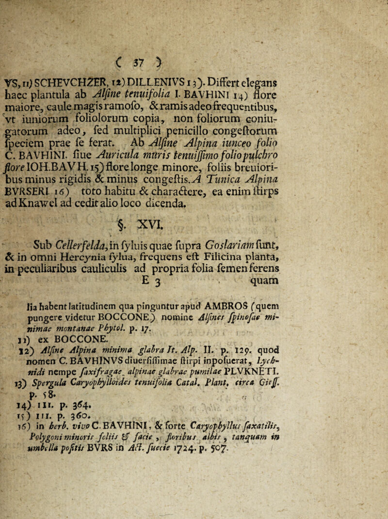 VS, Ii) SCHEVCHZER, i*) DILL.ENIVS 13). Differt elegans haec plantula ab Alfine tenuifolia I. BAVHINi 14) flore maiore, caule magis ramofo, <3c ramis adeo frequentibus, vt iumoriim foliolorum copia, non foliorum coniu- gatorum adeo, fed multiplici penicillo congeftorum Ipeciem prae fe ferat. Ab Alfine Alpina iunceo folio C. BAVH1NL flue Auricula muris tenuijfimo foliopulchro flore IOH.BAVH. 15) flore longe minore, foliis breuiori- bus minus rigidis & minus congeftis.^ Tunica Alpina BVRSERI 16) toto habitu & chara<ftere, ea enim ftirps ad Knawel ad cedit alio loco dicenda. §. XVI. Sub Cellerfeldafm fyluis quae fupra Goslariam (unt, & in omni Hercynia tylua, frequens eft Filicina planta, in peculiaribus cauliculis ad propria folia femen ferens E 3 quam lia habent latitudinem qua pinguntur apud AMBROS (quem pungere videtur BOCCONE} nomine Alfmes fpinofae mi- nimae montanae Pbytol. p. 17. 11) ex BOCCONE. 12) Alfine Alpina minima glabra Jt. Alp. II. p. 129. quod nomen C. BAVHlNVSdiuerfiflimae ftirpi inpofuerat, Lycb- ftidi nempe fixi fraga e alpinae glabrae pumilae PLVKNETI. 13) Spergula Caryopbylloides tenuifolia CataJ. Piant♦ circa Gicf P- 58. 14) iin p. 3^4* ff) iii. p. 3 15) in bcrb, vivoC.BAVHiNI , & forte Caryopbyllus faxatilis^ Polygoni minoris foliis 0 facie , jloribus albis , t an quam in umbella poftis BVRS in AH. fueeie 1724. p. 507, ,