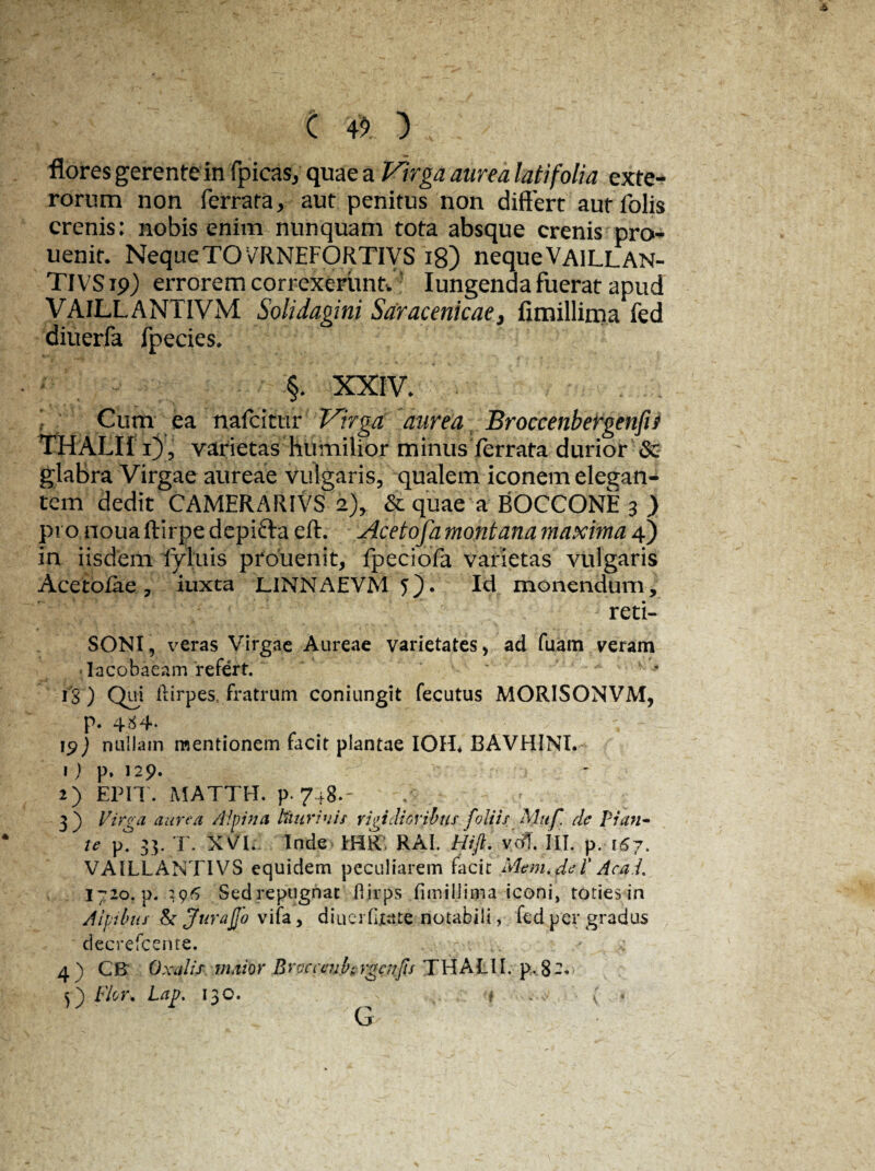 e 4» > , - flores gerente in fpicas, quae a Virga aurea latifolia exte¬ rorum non ferrata, aut penitus non differt autlblis crenis: nobis enim nunquam tota absque crenis pro- uenit. Neque TO VRNEFORTIVS 18) neque VAILLAN- TIVS19) errorem correxerunt.: Iungenda fuerat apud VAILLANTIVM SolidaginiSaracenicae} fimillima fed diuerfa fpecies. §. XXIV. Cum ea nafcittir Virga aurea Broccenbergenfif THALIIi), varietas humilior minus ferrata durior &: glabra Virgae aureae vulgaris, qualem iconem elegan¬ tem dedit CAMERARIVS 2), & quae a BOCCONE 3 ) pi o noiia ftirpe depifta eft. Acetofa montana maxima 4) in iisdem fyluis prouenit, fpeciofa varietas vulgaris Acetoiae, iuxta LINNAEVM 5). Id monendum, reti- SONI, veras Virgae Aureae varietates, ad fuam veram Iacobaeam refert. ' i'S ) Qui flirpes, fratrum coniungit fecutus MORISONVM, p. 484* !5>j nullam mentionem facit plantae IOH* BAVHINI. 1) p. 129. 2) EPIT. MATTH. p. 748.- 3) Virga aurea Alpina Hturiuis rigidi oribus foliis Muf. de pian¬ te p? 33. T. XVI. Inde IHR. RAI. Hift. vdT. III. p. 167. VAILLANTIVS equidem peculiarem facir Mem.del' Aca.i, 1720. p. 296 Sedrepugnat ilirps fimillima iconi, toties in Alpibus & JurajJo vifa, diuerfitate notabili, fed per gradus decrefcente. 4) CB Oxalis maibr $ rpcceufa rgenfis T HA 111 .p,.. 8 2. 5) Flor, Lag. 130. t ( * G