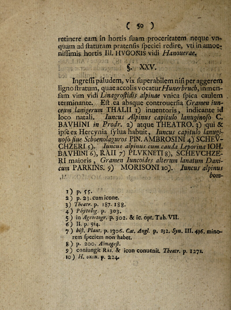 retinere eam in hortis luam proceritatem neque vn- quarn ad ftaturam pratenfis fpeciei redire, vtiinamoe- nihimis hortis IU, HYGONIS vidi Hanouerae. ■ §. XXV. ' \ . ’ ' f ' - ; T •.  , ..... IngreflI paludem, vix fuperabilem nifi per aggerem ligno liratum, quae accolis vocatur Hunerbrucb, inmen- fam vim vidi Linagrojtidis alpinae vnica Ipica caulem terminante. EU ea absque controuerfia Gramen iun- ceum lanigerum THALII i) inuentoris, indicante id loco natali. Iuncus Alpinus capitulo lanuginofo C. BAVHINI in Prodr. 2) atque THEATRO. 9) qui & ipfe ex Hercynia fylua habuit, Iuncus capitulo lanugi- nofo fme Scboenolaguros PIN. AMBROSINI 4) SCHEV- CHZERI 0* Iuncus alpinus cum cauda Leporina IOH. BAVHINI 6), RAII 7) PLVKNETI8), SCHEVCHZE- RI maioris , Gramen luncoides alterum lanatum Dani- cum PARKINS. 9) MORISONI10}. Iuncus alpinus ■ bom- 1) p. rr- ' \ ■ t- 2) p. 23. cum Icone. 3) Tbeatr. p. 187. 18 8- 4) Phytclog. p. 303, 5 ) in Agros togr. p. 302. & Ic. Opt. Tab. VII. 6 ) II. p. 5*4- 7 ) hijl. Piant. p. 1306. Cat4 Angi, p, i$2. Syn. III. 436, mino¬ rem fpeciem non habet. 8 ) p. 200. Almagejl. 5>) coniungk Rai. & icon conuenit. Tkcatr. p. 1271. 10 ) H* oxon. p. 224.