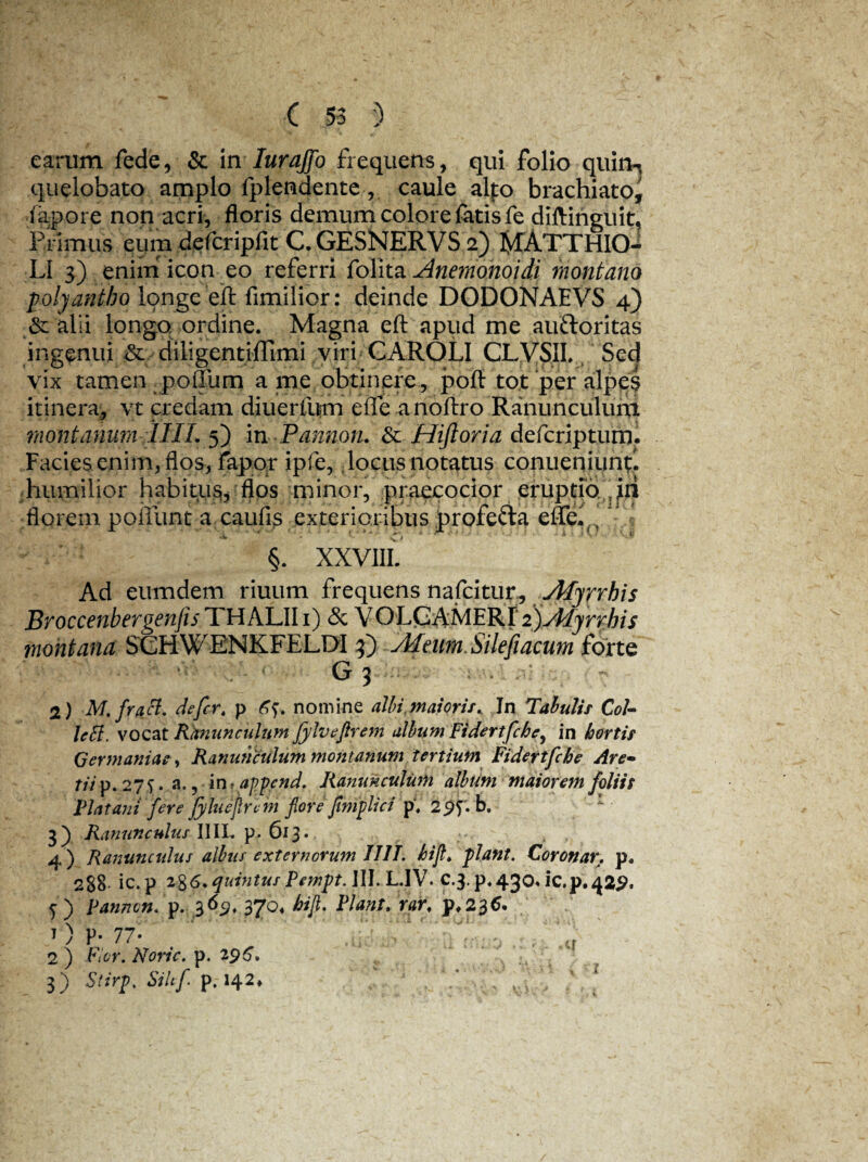 earum fede, & in Iurajfo frequens, qui folio quin* quelobato amplo fplendente , caule alto brachiato, l apore non acri, floris demum colore fatis fe diftinguit, Primus eum defcripfit C.GESNERVS2) l^ATTHICM LI 3) enim icon eo referri folita Anemonoidi montano polyantho longe eft fimilior: deinde DODONAEVS 4) & alii longo ordine. Magna eft apud me auftoritas ingenui & diligentiflimi viri GAROLI CLVSII. Sed vix tamen ^ polium a me obtinere , poft tot per alpes itinera, vt credam diuerfum eft e a noftro Ranunculum montanum 1IIL 5) in Pannon. & Hiftoria defcriptum. Facies enim, flos, fapor ipfe, locus notatus conueniunf humilior habitus, flos minor, praecocior eruptio florem poftlint a caufis exterioribus profefta eflfe^,' §. XXV1IL Ad eumdem riuum frequens nafcitur, Afyrrbis Broccenbergenjis THALIIi) & VOLOAMERI 2) Afyrrbis montana SCHWENKFELDI 3) Aleum. Silefiacum forte G 3 2) M.fracl. defer t p nomine albi.maioris. In Tabulis CoU left. vocat Ranunculum fylveftrem album Fidertfcbe, in hortis Germaniae, Ranunculum montanum tertium Fidertfcbe Are- 77/p. 27 a., in, appcnd. Ranunculum album maiorem foliis Flatant fere fyhieflum flore flmplici p'. 2£>f'. b. 3) Ranunculus IIII. p. 613* 4 ) Ranunculus albus externorum Illi. bifl. piant. Coronar. p. 2$8 ic.p quintus Fempt. III. L.IV. C.3. p«43o« ic.p.42^ 5) Pannon. p. $69. IJo, bifl. Flant. rar. p.23 ' WM 2 ) For. Noric. p. 296. 3) Stirp, Siltf p. 142* 1