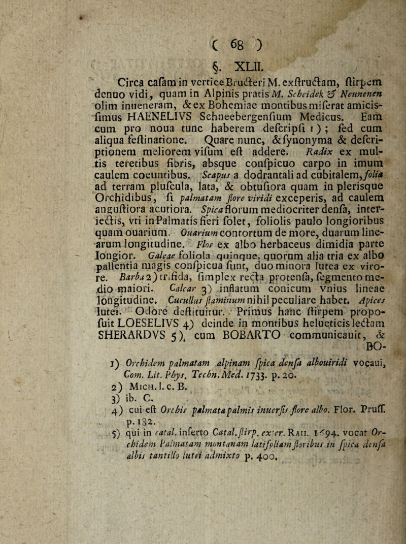 I §. XLII. Circa caCam in verticeBrudteriM.exftrudam, ftirpem denuo vidi, quam in Alpinis pratisM. Schcidek r6 Neunenen olim inueneram, &exBohemiae montibus miferat amicis- fimus HAHNELIVS Schneebergenfium Medicus. Eam cum pro noua tunc haberem defcripfir); fed cum aliqua feftinatione. Quare nunc, &fynonyma & defcri- ptionem meliorem vifuin eft addere. Radix ex mul¬ tis teretibus fibris, absque confpicuo carpo in imum caulem coeuntibus. Scapus a dodrantali ad cubitalem,/*//* ad terram plufcula, lata, & obtufiora quam in plerisque Orchidibus, fi palmatam flore viridi exceperis, ad caulem anguftiora acutiora. Spica florum mediocriter denfa, inter- iedis, vti in Palmatis fieri folet, foliolis paulo longioribus quam ouarium. Ouarium contortum de more, duarum line¬ arum longitudine. Flos ex albo herbaceus dimidia parte longior. Galeae foliola quinque, quorum alia tria ex albo pallentia magis confpicua funt, duo minora lutea ex viro¬ re. Barba 2) trifida, (implex recla protenfa, fegmento me¬ dio maiori. Calcar 3) inflatum conicum vnius lineae longitudine. Cucullus flaminum nihil peculiare habet. Apices lutei. Odore deftituitiir. - Primus hanc fiirpem propo- fuit LOESELIVS 4) deinde in montibus heluedcisiedam SHERARDVS 5/ cum BOBARTO communicauit, & BO- j) Orchidem palmatam alpinam [pica denfa albouiridi vocaui, Com. Lit. Pbys% Tecbn.Med. lJ33. p. 20. 2) Mich. l.c. B. 3) ib.C. / 4) cui eft: Onbis palmata palmis inuerjis flore albo. Flor. PrulT. p.132. 5) qui in catal. inferto CataLJfirp. ex'er. Raii. i <94. vocat Or¬ chidem Palmatam montanam latifoliam floribus in fpica denfa albis tantillo lutei admixto p. 400.