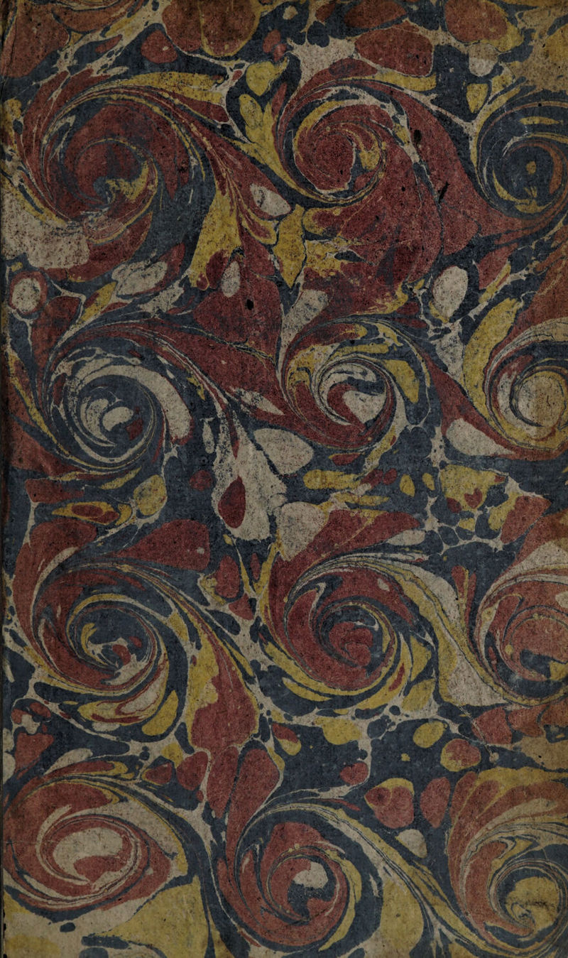 fci/ ÆïflS* * Y P>4^ £•*,;» V . 1 kl jrtÈg À 'J.jSFÆ*iX* , f ', ' * J II ? y* t> j g lïlf