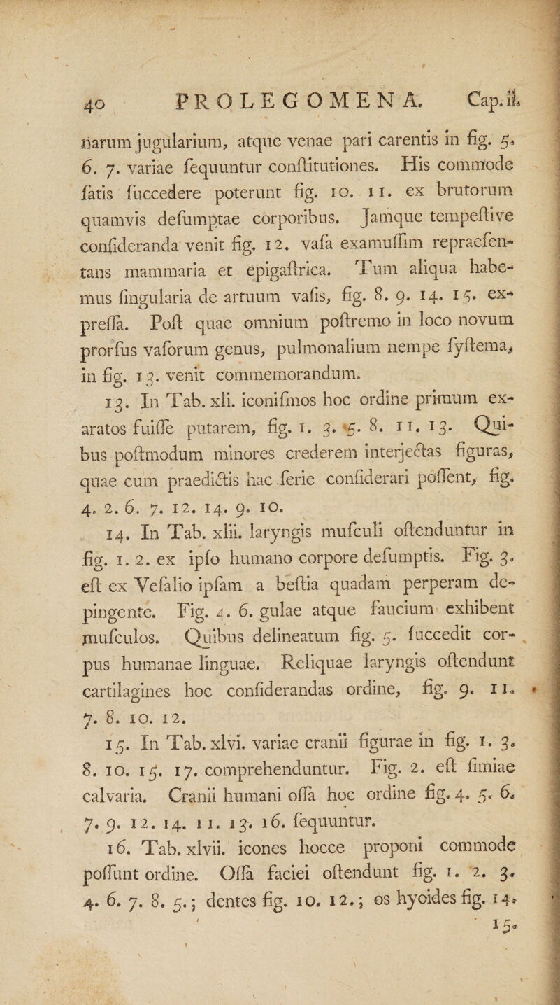 liarum jugiflarium, atque venae pari carentis in fig. 5* 6. 7. variae fequuntur conffitutiones. His commode fatis fuccedere poterunt fig. 10. 11. ex brutorum quamvis defumptae corporibus. Jamque tempeffive confideranda venit fig. 12. vafa examuflim repraefen* tans mammaria et epigaflrica. Eum aliqua habe¬ mus lingularia de artuum vafis, fig. 8. 9. 14. 13* ex- prefla. Poff quae omnium poftremo in loco novum prorfus vaforum genus, pulmonalium nempe fyflema, in fig. 13. venit commemorandum. 13. I11 Tab. xli. iconifmos hoc ordine primum ex¬ aratos fuifle putarem, fig. 1. 3. B. 11. 13. Qui¬ bus poff modum minores crederem interjeclas figuras, quae cum praediolis hac ferie confiderari pollent, fig. 4. 2. 6. 7* 12. 14. 9. 10. 14. In Tab. xlii. laryngis mufculi offenduntur in fig. 1. 2. ex ipfo humano corpore defumptis. Fig. 3. eff ex Vefalio ipfam a beffia quadam perperam de¬ pingente. Fig. 4. 6. gulae atque faucium exhibent mufculos. Quibus delineatum fig. 5. fuccedit cor¬ pus humanae linguae. Reliquae laryngis offendunt cartilagines hoc confiderandas ordine, fig. 9. in * 7. 8. 10. 12. 15. In Tab.xlvi. variae cranii figurae in fig. 1. 3* 8. 10. 15. 17. comprehenduntur. Irig. 2. eff fimiae calvaria. Cranii humani olla hoc ordine fig. 4. 5. 6. 7. 9. 12. 14. 11. 13. 16. fequuntur. 16. Tab. xlvii. icones hocce proponi commode poflunt ordine. Offa faciei offendunt fig. 1. 2. 3. 4. 6. 7. 8. 5.; dentes fig. 10. 12. ; os hyoidesfig. 14* ' ’ 55«