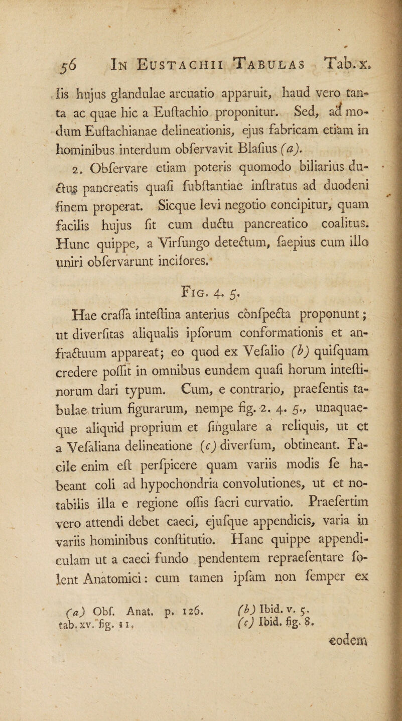 lis hujus glandulae arcuatio apparuit, haud vero tan¬ ta ac quae hic a Euftachio proponitur. Sed, ad mo¬ dum Euftachianae delineationis, ejus fabricam etiam in hominibus interdum obfervavit Blafius (a). 2. Obfervare etiam poteris quomodo biliarius du- £lu§ pancreatis quafi fubftantiae inftratus ad duodeni finem properat. Sicque levi negotio concipitur, quam facilis hujus fit cum du&u pancreatico coalitus. Hunc quippe, a Virfungo dete&um, faepius cum illo uniri obfervarunt incilores, Fig. 4* 5« Hae crafia inteflina anterius confpecla proponunt; nt diverfitas aliqualis ipforum conformationis et an- fra&uum appareat; eo quod ex Yefalio (b) quifquam credere poffit in omnibus eundem quafi horum intefti- norum dari typum. Cum, e contrario, praefentis ta¬ bulae trium figurarum, nempe fig. 2. 4. 5., unaquae¬ que aliquid proprium et fingulare a reliquis, ut et a Vefaliana delineatione (c) diverfum, obtineant. Fa¬ cile enim efi perfpicere quam variis modis fe ha¬ beant coli ad hypochondria convolutiones, ut et no¬ tabilis illa e regione offis facri curvatio. Praefertim vero attendi debet caeci, ejufque appendicis, varia in variis hominibus conftitutio. Hanc quippe appendi¬ culam ut a caeci fundo pendentem repraefentare fo- ient Anatomici: cum tamen ipfam non femper ex (a) Obf. Anat. p. 126. (b) Ibid. v. 5. tab.xv. fig. 11. (0 ^>id. fig> 8. eodem