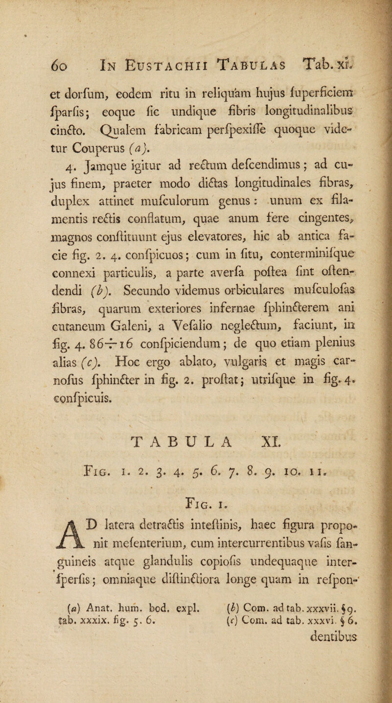 et dorfum, eodem ritu in reliquam hujus fuperficiem: fparfis; eoque fic undique fibris longitudinalibus cin&o. Qualem fabricam perfpexifle quoque vide¬ tur Couperus (a), 4. Jamque igitur ad retium defcendimus; ad cu¬ jus finem, praeter modo di£las longitudinales fibras, duplex attinet mufculorum genus : unum ex fila¬ mentis re&is conflatum, quae anum fere cingentes, magnos conftituunt ejus elevatores, hic ab antica fa¬ cie hg. 2. 4. confpicuos ; cum in fitu, conterminifque connexi particulis, a parte averfa poflea fint oflen- dendi (b). Secundo videmus orbiculares mufculofas fibras, quarum exteriores infernae fphinfterem ani cutaneum Galeni, a Yefalio neglectum, faciunt, in hg. 4. 86*7“ 16 conficiendum; de quo etiam plenius alias (c). Hoc ergo ablato, vulgaris et magis car- nofus fphinfter in hg. 2. proflat; utrifque in fig* 4. confpicuis. T A B U L A XI Fig. i. 2. 3. 4. 5. 6. 7. 8. 9. 10. 11. Fig. i. AD latera detra£fis inteflinis, haec figura propo¬ nit mefenterium, cum intercurrentibus vafis fan- guineis atque glandulis copiofis undequaque inter- fperfis; omniaque diflin£liora longe quam in refpon-’ {a) Anat. hum. bod. expl. [I) Com. a-dtab.xxxvii. §9. fab. xxxix. fig. 5. 6. (c) Com. ad tab. xxxvi. § 6. dentibus