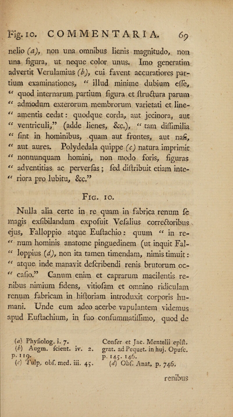 nelio (a), non una omnibus lienis magnitudo, non una figura, ut neque color unus. Imo generatim advertit Verulamius (b), cui favent accuratiores par¬ tium examinationes, “ illud minime dubium efle, C€ quod internarum partium figura et flru&ura parum ** admodum exterorum membrorum varietati et line- “ amentis cedat: quodque corda, aut jecinora, aut “ ventriculi/’ (adde lienes, &c.), “ tam diffimilia €C fint in hominibus, .quam aut frontes, aut nafi, “ aut aures. Polydedala quippe (c) natura imprimit “ nonnunquam homini, non modo foris, figuras ** adventitias ac perverfas; fed difiribuit etiam inte- “ riora pro lubitu, &c.” Fig. io. Nulla alia certe in re quam in fabrica renum fe magis exfibilandum expofuit Vefalius corre&oribus ejus, Falloppio atque Eufiachio: quum “ in re- num hominis anatome pinguedinem (ut inquit Fal- “ loppius (d), non ita tamen timendam, nimis timuit: atque inde manavit defcribendi renis brutorum oc- u cafio.” Canum enim et caprarum macilentis re¬ nibus nimium fidens, vitiofam et omnino ridiculam renum fabricam in hiftoriam introduxit corporis hu¬ mani. Unde eum adeo acerbe vapulantem videmus apud Euflachium, in fuo confummatiffimo, quod de M Phyfiolog. i. 7. Confer et Jac. Mentelii epiil. (b) Augm. fcient. iv. 2. grat. adPequet. inhuj. Opufc. P-119- p. 145. 146. {c) Tulp, obf, med, iii. 45. (d) Obf. Anat, p. 746. renibus