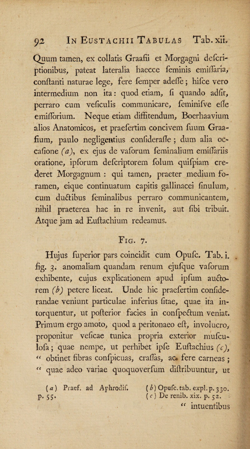 Quum tamen, ex coilatis Graafii et Morgagni dcfcri- ptionibus, pateat lateralia haecce feminis emifiaria, conflanti naturae lege, fere femper adeffe; hifce vero intermedium non ita: quod etiam, fi quando ad fit, perraro cum veficulis communicare, feminifve efle emifiorium. Neque etiam diffitendum, Boerhaavium alios Anatomicos, et praefertim concivem fuum Graa- fium, paulo negligentius confiderafie ; dum alia oc¬ catione (a), ex ejus de vaforum feminalium emiflariis oratione, ipforum defcriptorem folum quifpiam cre¬ deret Morgagnum : qui tamen, praeter medium fo¬ ramen, eique continuatum capitis gallinacei finulum, cum du&ibus feminalibus perraro communicantem, nihil praeterea hac in re invenit, aut fibi tribuit. Atque jam ad Euflachium redeamus. % Fig. 7. Hujus fuperior pars coincidit cum Opufc. Tab. i. fig. 3. anomaliam quandam renum ejufque vaforum exhibente, cujus explicationem apud ipfum. aucto¬ rem (b) petere liceat. Unde hic praefertim confide- randae veniunt particulae inferius fitae, quae ita in¬ torquentur, ut poflerior facies in confpe&um veniat. Primum ergo amoto, quod a peritonaeo eft, involucro, proponitur veficae tunica propria exterior mufcu- lofa; quae nempe, ut perhibet ipfe Euflachius (c), “ obtinet fibras confpicuas, craflas, ac* fere carneas ; “ quae adeo variae quoquoverfum diftribuuntur, ut (a) Praef. ad Aphrociif. (b) Opufc, tab. expl. p. 3 30. p. 55. ( c) De renib. xix. p. 52. <( intuentibus i