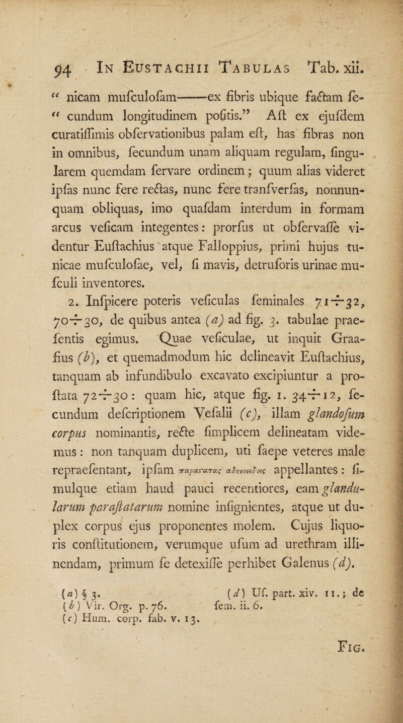 “ nicam mufculofam——ex fibris ubique faciam fe- “ eundum longitudinem pofitis.” Afl ex ejufdem curatifTimis obfervationibus palam efl, has fibras non in omnibus, fecundum unam aliquam regulam, lingu¬ larem quemdam fervare ordinem; quum alias videret ipfas nunc fere redlas, nunc fere tranfverfas, nonnum¬ quam obliquas, imo quafdam interdum in formam arcus veficam integentes: prorfus ut obfervafle vi¬ dentur Euflachius atque Falloppius, primi hujus tu¬ nicae mufculofae, vel, fi mavis, detruforis urinae mu» fculi inventores. 2. Xnfpicere poteris veficulas feminales 71—32, 70-7-30, de quibus antea (a) ad hg. 3. tabulae prae- fentis egimus. Quae veficulae, ut inquit Graa- fius (h), et quemadmodum hic delineavit Euflachius, tanquam ab infundibulo excavato excipiuntur a pro¬ flata 724-30: quam hic, atque fig. 1. 34*7-12, fe¬ cundum deferiptionem Vefalii (c), illam glandofum corpus nominantis, redle fimplicem delineatam vide¬ mus : non tanquam duplicem, uti faepe veteres male repraefentant, ipfam ^xparurag appellantes : fi- mulque etiam haud pauci recentiores, eam glandu¬ larum par aft at arum nomine infignientes, atque ut du¬ plex corpus ejus proponentes molem. Cujus liquo¬ ris conflitutionem, verumque ufum ad urethram illi¬ nendam, primum fe detexifle perhibet Galenus (d). (a) § 3. [d) Uf. part, xiv. 11.; dc ( b ) Vir. Org. p. 76. fem. ii. 6. (c) Hum. corp. fab. v. 13. Fig*