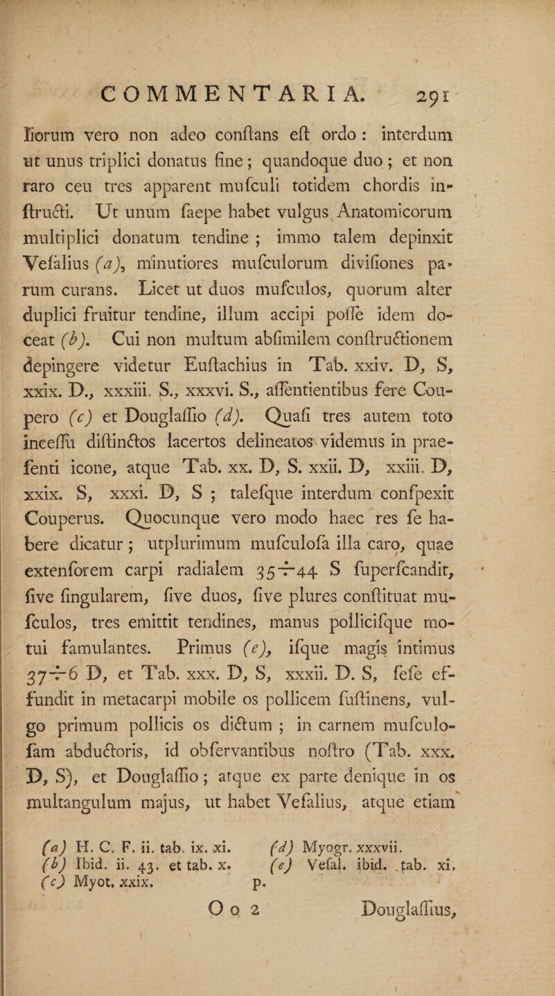 Eorum vero non adeo conflans efl ordo : interdum ut unus triplici donatus fine ; quandoque duo ; et non raro ceu tres apparent mu (culi totidem chordis in- ftrucli. Ut unum fiaepe habet vulgus Anatomicorum multiplici donatum tendine ; immo talem depinxit Vefalius (a), minutiores mufcuiorum divifiones pa¬ rum curans. Licet ut duos mufculos, quorum alter duplici fruitur tendine, illum accipi pofle idem do¬ ceat (b). Cui non multum abfimilem conflrn£lionem depingere videtur Euflachius in Tab. xxiv. D, S, xxix. D., xxxiii. S., xxxvi. S., aflentientibus fere Cou- pero (c) et Douglaffio (d). Quafi tres autem toto ineefiu diflinclos lacertos delineatos videmus in prae» fenti icone, atque Tab. xx. D, S. xxii. D, xxiii. D, xxix. S, xxxi. D, S ; talefque interdum confpexit Couperus. Quocunque vero modo haec res fe ha¬ bere dicatur ; utplurimum mufculofa illa caro, quae extenforem carpi radialem 35—44 S fuperfcandit, five fingularem, flve duos, five plures confiituat mu- fculos, tres emittit tendines, manus pollicifque mo¬ tui famulantes. Primus (e), ifque magis intimus %J-r6 D, et Tab. xxx. D, S, xxxii. D. S, fefe ef¬ fundit in metacarpi mobile os pollicem fuflinens, vul¬ go primum pollicis os ditfium ; in carnem mufculo- fam abdu&oris, id obfervantibus noftro (Tab. xxx. D, S), et Douglafiio; atque ex parte denique in os multangulum majus, ut habet Vefalius, atque etiam (a) H. C. F. ii. tab, ix. xi. (d) Myogr. xxxvii. (b) Ibid. ii. 43. et tab. x. (e) Vefal. ibid. vJ»ab. xi, f c) Myot, xxix. p. O o 2 DouglaiTnis, 1