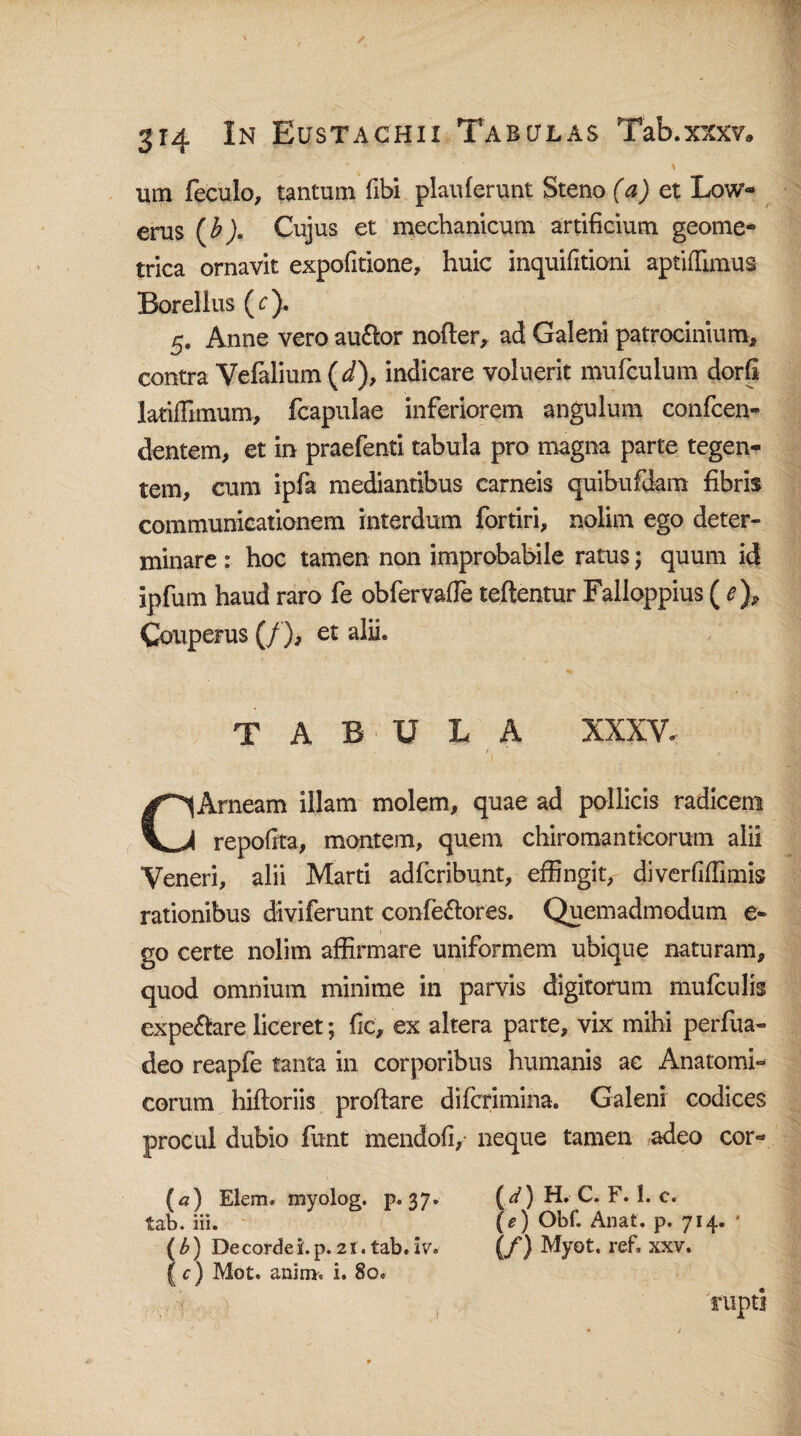 iuli feculo, tantum flbi plauferunt Steno (a) et Low- erus {b). Cujus et mechanicum artificium geome¬ trica ornavit expofitione, huic inquifitioni aptiffimus Borellus (c). 5. Anne vero au&or noder, ad Galeni patrocinium, contra Vefalimn (d)f indicare voluerit mufculum dorfi latiffimum, fcapulae inferiorem angulum confcen- dentem, et in praefenti tabula pro magna parte tegen¬ tem, cum ipfa mediantibus carneis quibufdam fibris communicationem interdum fortiri, nolim ego deter¬ minare : hoc tamen non improbabile ratus; quum id ipfum haud raro fe obfervafle teftentur Falloppius ( e\ Couperus (/), et alii» TABULA XXXV. CArneam illam molem, quae ad pollicis radicem repofita, montem, quem chiromanticorum alii Veneri, alii Marti adfcribunt, effingit, diverfiffimis rationibus diviferunt confe&ores. Quemadmodum e- go certe nolim affirmare uniformem ubique naturam, quod omnium minime in parvis digitorum mufculis expe&are liceret; fic, ex altera parte, vix mihi perfua- deo reapfe tanta in corporibus humanis ac Anatomi¬ corum hiftoriis proflare difcrimina. Galeni codices procul dubio funt mendofi, neque tamen adeo cor- (a) Elem. myolog. p. 37. (V) H. C. F. 1. c. tab. iii. (*) Obf. Anat. p. 714. ‘ ( b) De corde i. p. 21. tab. iv. (/) Myot. ref. xxv. (c) Mot. ani na. i. 80. rupti
