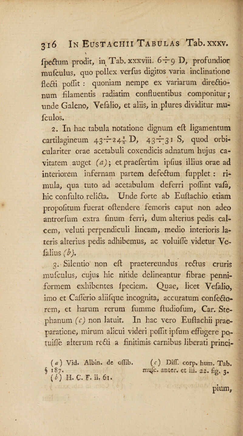 * fpeftum prodit, in Tab. xxxviii. 6-i-g D, profundior mufculus, quo pollex verfus digitos varia inclinatione flefti poflit : quoniam nempe ex variarum dire&io- num filamentis radiatim confluentibus componitur; unde Galeno, Vefalio, et aliis, in plures dividitur mu- 9 fculos. 2. In hac tabula notatione dignum eft ligamentum cartilagineum 43-7-244 D, 4 3-7-31 S, quod orbi- culariter orae acetabuli coxendicis adnatum hujus ca¬ vitatem auget (a); etpraefertim ipfius illius orae ad interiorem infernam partem defe&um fupplet : ri¬ mula, qua tuto ad acetabulum deferri poflint vafa, hic confulto reli&a. Unde forte ab Euftachio etiam propofitum fuerat oftendere femoris caput non adeo antrorfum extra finum ferri, dum alterius pedis cal¬ cem, veluti perpendiculi lineam, medio interioris la¬ teris alterius pedis adhibemus, ac voluifle videtur Ve- falius (b), 3. Silentio non efl: praetereundus re&us cruris mufculus, cujus hic nitide delineantur fibrae penni- formem exhibentes fpeciem. Quae, licet Vefalio, imo et Cafierio aliifque incognita, accuratum confero- rem, et harum rerum fumme ftudiofiim, Car. Ste- phanum (c) non latuit. In hac vero Euftachii prae¬ paratione, mirum alicui videri poflit ipfum effugere pq« tuifle alterum refti a finitimis carnibus liberati princi- («) Vid. Albin. dc o0ib. (c) BifT. corp. hum. Tab. § 187. mnjfc. an ter. et iii. 22. % 3. (Q fi. C. F. ii. 61. pium.