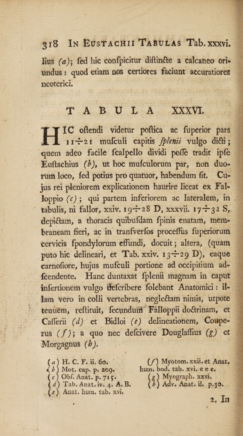litis (a)j fed hic confpicitur diftin&e a calcaneo ori* undus: quod etiam nos certiores faciunt accuratiores neoterici. TABULA XXXVI. HIC oftendi videtur poftica ac fuperior pars 11 21 mufculi capitis fpknii vulgo di£fi; quem adeo facile fcalpello dividi pofie tradit ipfe Euftachius (b)9 ut hoc mufculorum par, non duo¬ rum loco, fed potius pro quatuor, habendum fit. Cu¬ jus rei pleniorem explicationem haurire liceat ex Fal» loppio (c) ; qui partem inferiorem ac lateralem, in tabulis, ni fallor, xxiv. 19-7-28 X), xxxvii. 17 -7-3 2 S,. depiclam, a thoracis quibufdam fpinis enatam, mem¬ braneam fieri, ac in tranfverfos procefius fuperiorum cervicis fpondylorum effundi, docuit; altera, (quam puto hic delineari, et Tab. xxiv. 13-7-29 D), eaque carnofiore, hujus mufculi portione ad occipitium ad* fcendente. Hanc duntaxat fplenii magnam in caput infertionem vulgo defcribere folebant Anatomici: il¬ lam vero in colli vertebras, negle&am nimis, utpote tenuem, reflituit, fecundurii Falloppii do&rinam, et Cafferii (d) et Bidloi (e) delineationem, Coupe- rus (f); a quo nec de (civere BouglafTius (g) et Morgagnus (h). (a) H. C. F. ii. 60. (/) Myotom.xxii.et Anat* «(£) Mot. cap. p. 209. hurn. bod. tab. xvi. e e e. ( c) Obf. Anat. p. 715. (g) Myograph. xxvi. \d) Tab. Anat. iv. 4. A.B. (b) Adv. Anat. il. p.30. (e) Anat. hum. tab. xyi. 2. In
