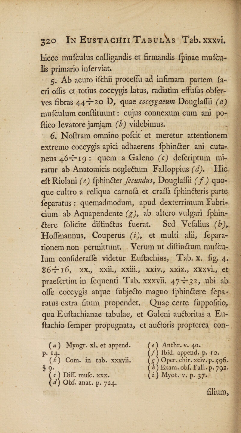 hicce mufculus colligandis et firmandis fpinae mufcu- lis primario inferviat. 5. Ab acuto ifehii procefiu ad infimam partem fa- cri offis et totius coccygis latus, radiatim efFufas obfer- ves fibras 44.-7-20 D, quae coccygaeum Douglaffii (a) mufculum conftituunt: cujus connexum cum ani po- fiico levatore jamjam (^videbimus. 6. Noftram omnino pofcit et meretur attentionem extremo coccygis apici adhaerens fphin&er ani cuta¬ neus 46-7-19: quem a Galeno (c) defcriptum mi¬ ratur ab Anatomicis negle&um Falloppius (d'). Hic efi: Riolani (e) fphin&er fecundus, Douglafiii (f) quo¬ que cultro a reliqua carnofa et crafia fphin&eris parte feparatus : quemadmodum, apud dexterrimum Fabri¬ cium ab Aquapendente (g), ab altero vulgari fphin- &ere folicite diftin&us fuerat. Sed Vefalius (b), Hoffmannus, Couperus (i), et multi alii, fepara- tionem non permittunt. Verum ut diftin&um mufcu¬ lum confideratfe videtur Euftachius, Tab. x. fig. 4. 86-ri6, xx., xxii., xxiii., xxiv., xxix., xxxvi., et praefertim in fequenti Tab. xxxvii. 47-7-32, ubi ab ofie coccygis atque fubje&o magno fphin&ere /epa- ratus extra (Itum propendet. Quae certe fuppofitio, qua Euflachianae tabulae, et Galeni au&oritas a Eu- ftachio femper propugnata, et au&oris propterea con- (<z) Myogr. xl. et append. P- H- (b) Com. in tab. xxxvii. §9- c ) DiflT. mufc. xxx. d) Obf. anat. p. 724. fe) Anthr. v. 40. /) ibid. append. p. 10. (g ) Opel*, chir.xciv.p. 596. ( b) Exam. obf. Fall. p. 792. (i) Myot. v. p. 37. filium.