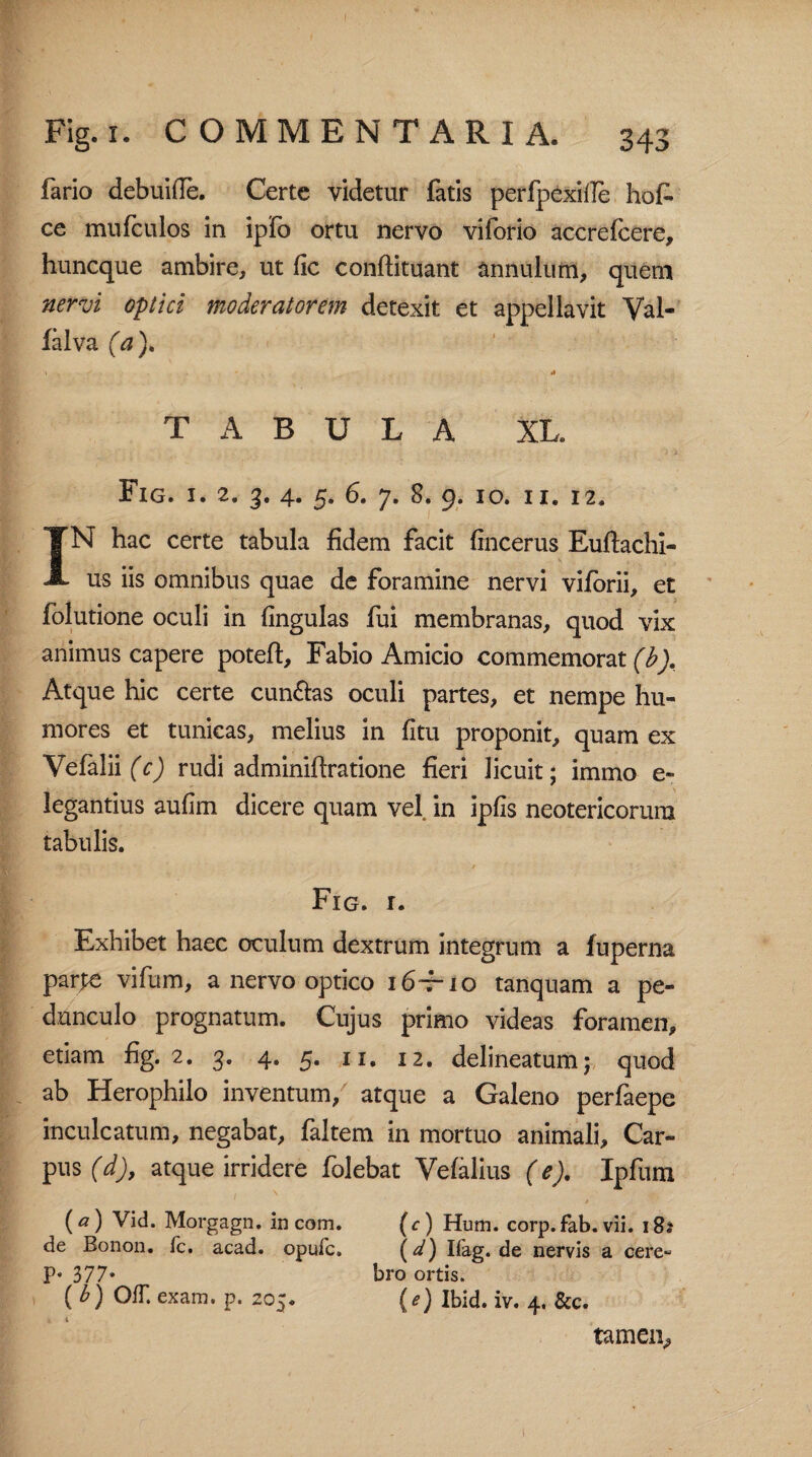 fario debuide. Certe videtur fatis perfpexide hol¬ ce mufculos in ipfo ortu nervo viforio accrefcere, huncque ambire, ut fic conflituant annulum, quem nervi optici moderatorem detexit et appellavit Val- falva (a). TABULA XL. Fig. i. 2. 3. 4. 5. 6. 7. 8. 9. 10. 11. 12. IN hac certe tabula fidem facit fincerus Euftachi- us iis omnibus quae de foramine nervi viforii, et folutione oculi in lingulas fui membranas, quod vix animus capere poteft, Fabio Amicio commemorat (b). Atque hic certe cun&as oculi partes, et nempe hu¬ mores et tunicas, melius in litu proponit, quam ex Vefalii (c) rudi adminiftratione fieri licuit; immo e- legantius aufim dicere quam vel in ipfis neotericorum tabulis. Fig. r. Exhibet haec oculum dextrum integrum a fuperna parpe vifum, a nervo optico \6~rio tanquam a pe¬ dunculo prognatum. Cujus primo videas foramen, etiam fig. 2. 3. 4. 5. 11. 12. delineatum; quod ab Herophilo inventum, atque a Galeno perfaepe inculcatum, negabat, faltem in mortuo animali, Car¬ pus (d), atque irridere folebat Yefalius (e). Ipfum (<2) Vid. Morgagn. in com. (c) Hum. corp. fab. vii. i8* de Bonon, fc. acad. opufc. (^) Iiag. de nervis a cere- P* 377* bro ortis. {b) OfT. exam. p. 205. (e) Ibid. iv. 4. &c. tamen.